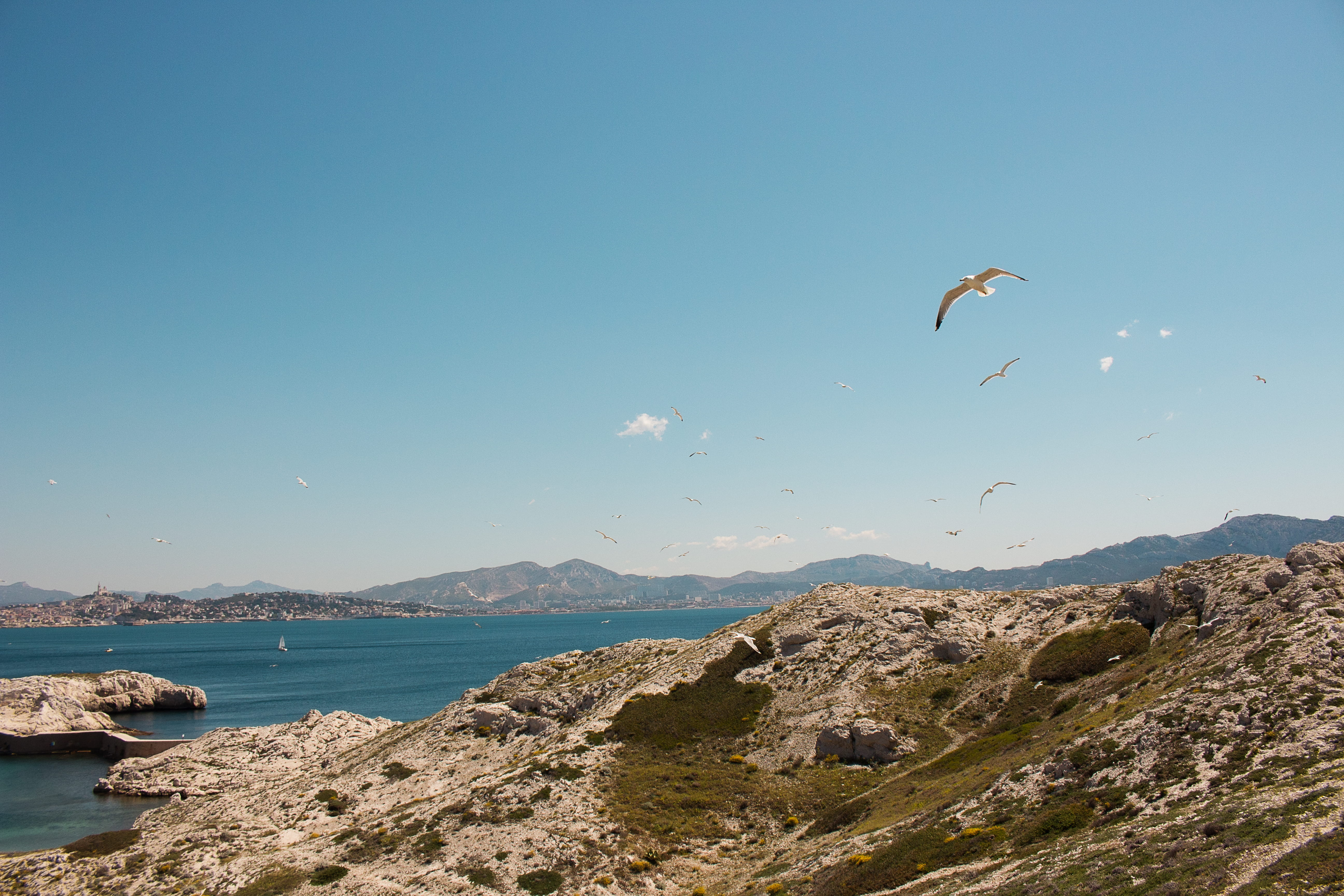 marseille, bird, gull, outdoors, animal themes, adventurer, exploring, cityview, sky, rock, no people, animal, water, nature, tranquility, mountain range, HD Wallpaper