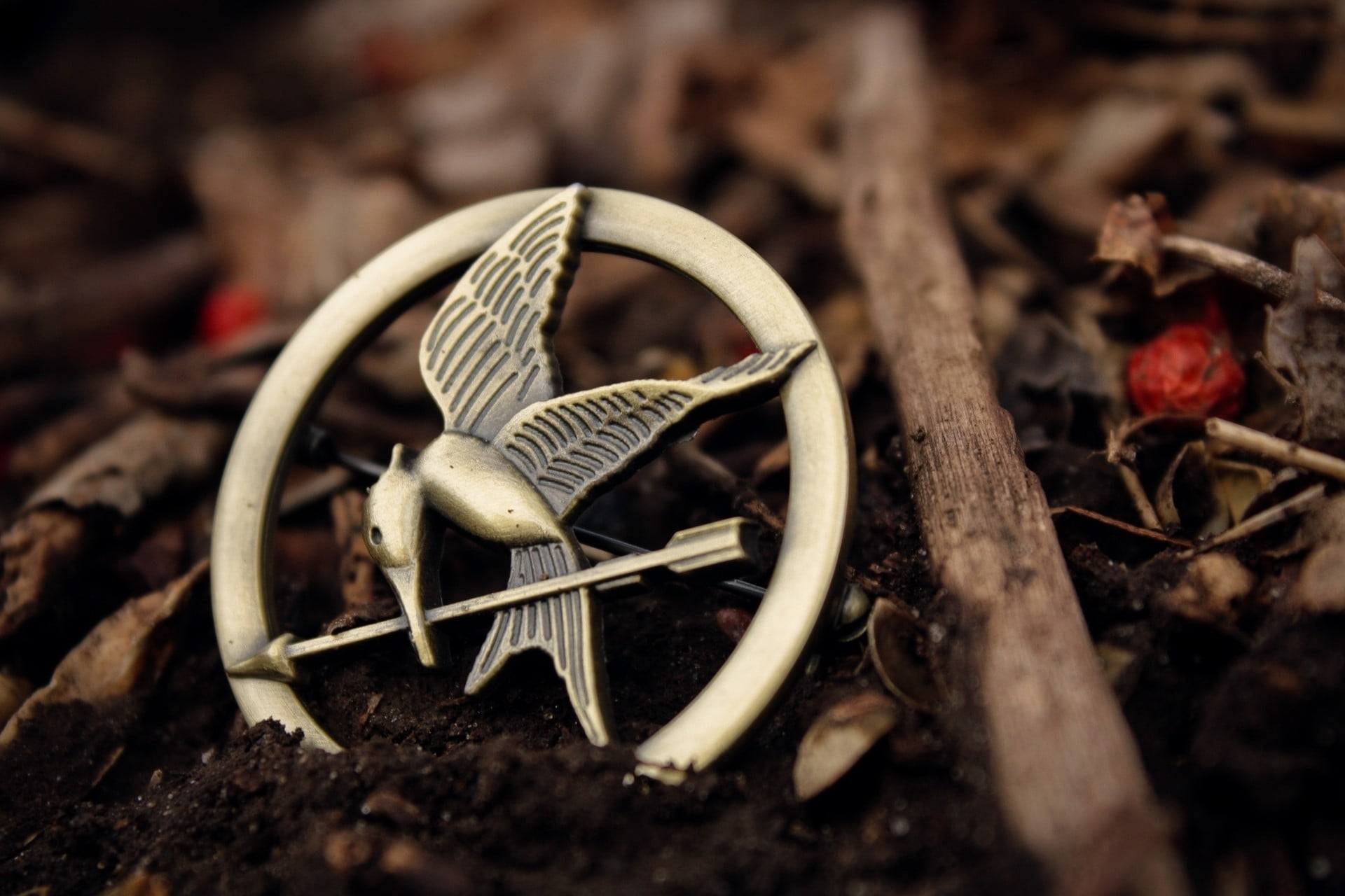 brown, focus on foreground, brooch, field, close-up, vegetable, leaf, bird, nature, land, selective focus, dry, earth, day, macro, agriculture, colored, HD Wallpaper