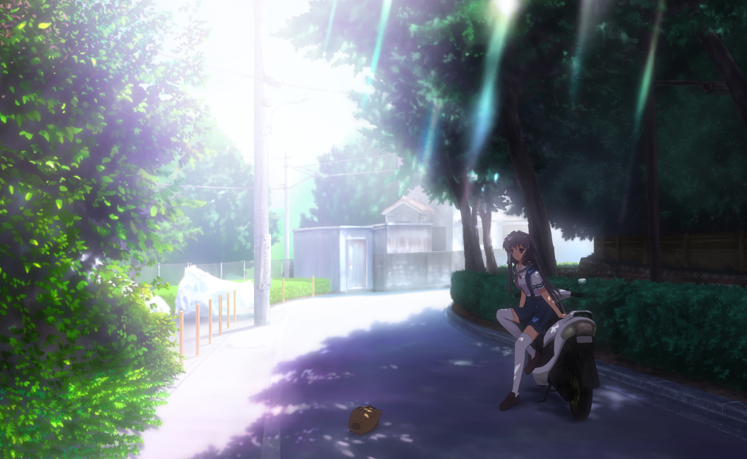 test kyou please ignore anime clannad fujibayashi kyou, 2K, HD Wallpaper