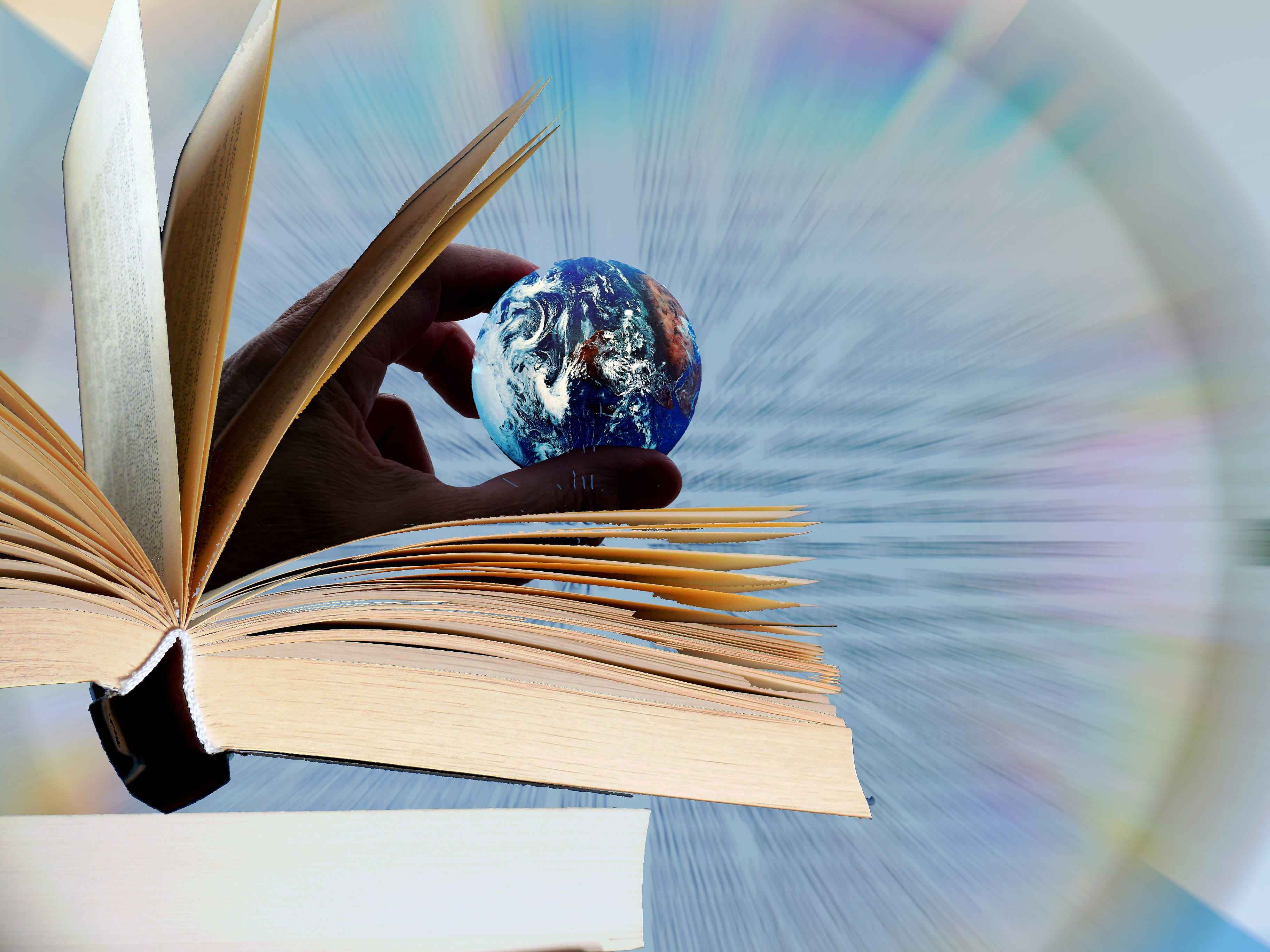 indoors, flowering plant, book, literature, develop, global, publication, art and craft, argue, transfer, table, creativity, education, nature, page, world, HD Wallpaper