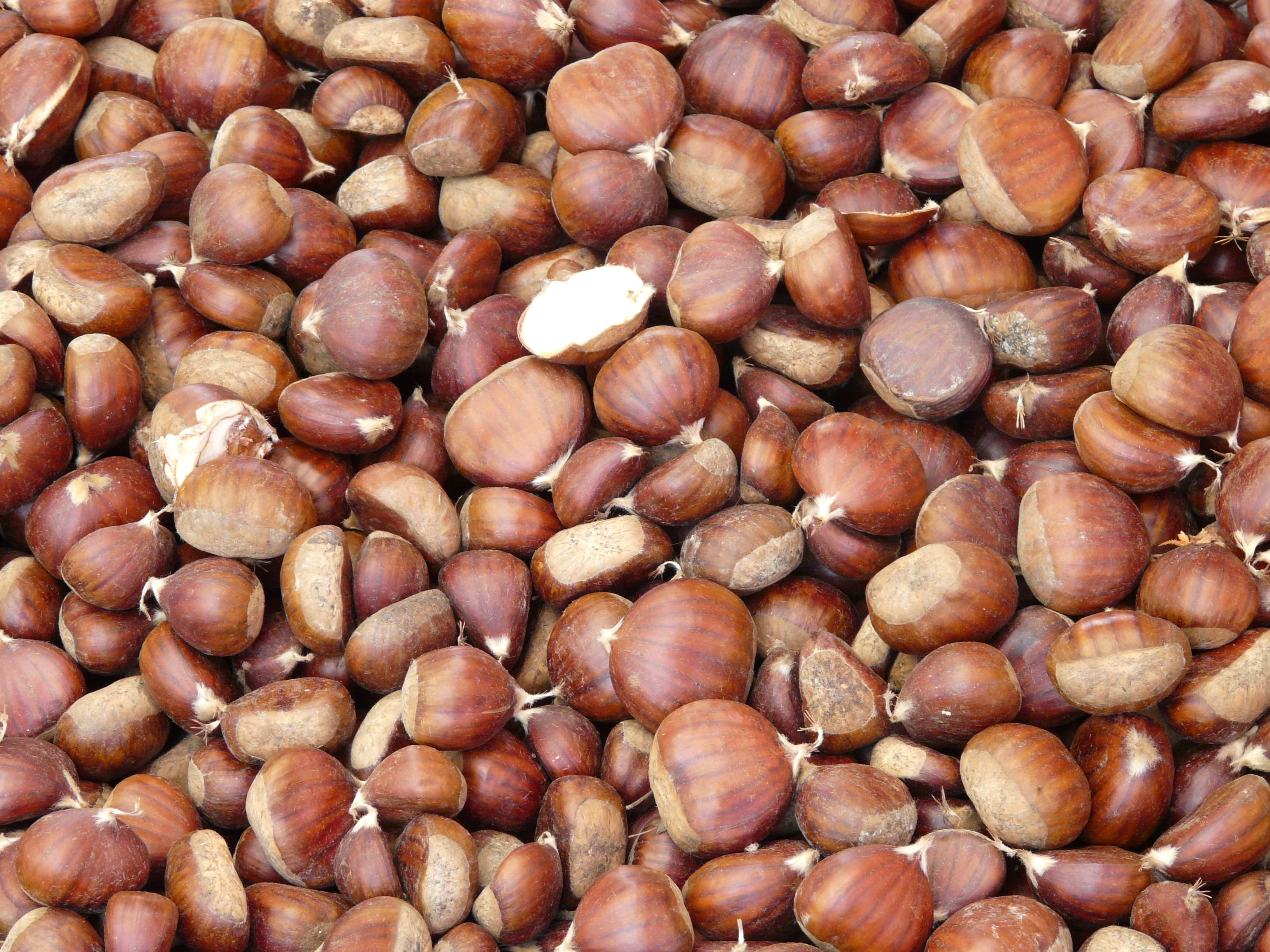 chestnut, food, nut, no people, chestnut - food, abundance, wellbeing, food and drink, 2K, indoors, nuts, large group of objects, backgrounds, high angle view, HD Wallpaper