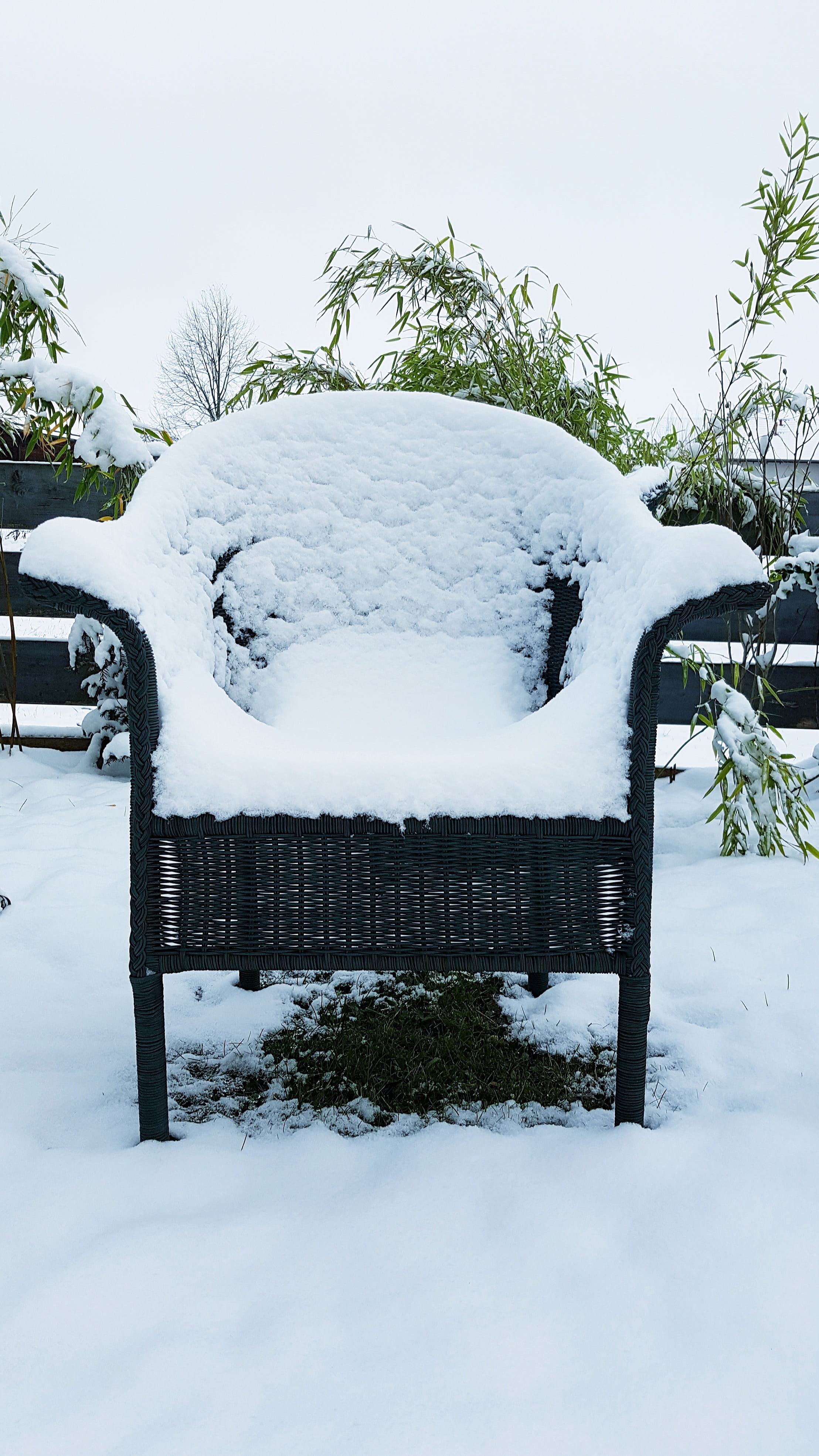 nature, tranquility, frozen, snowed in, white color, field, beauty in nature, outdoors, tree, sky, garden chair, snowcapped mountain, extreme weather, day, Phone HD Wallpaper