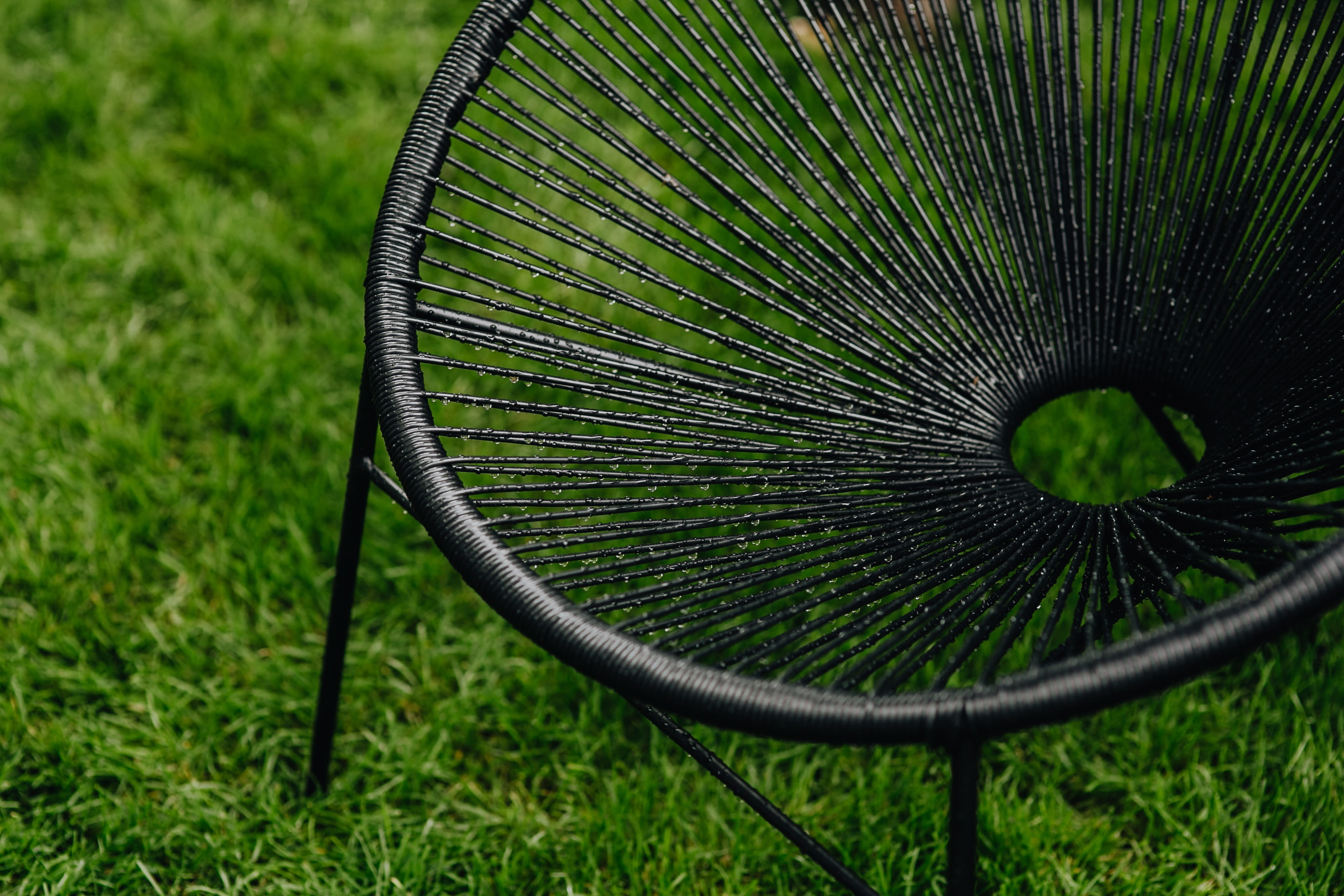 grass, tree, design, no people, field, mexican design, plant, mexican, modern, acapulco chair, lawn, classic, garden, leisure, animal, focus on foreground, HD Wallpaper