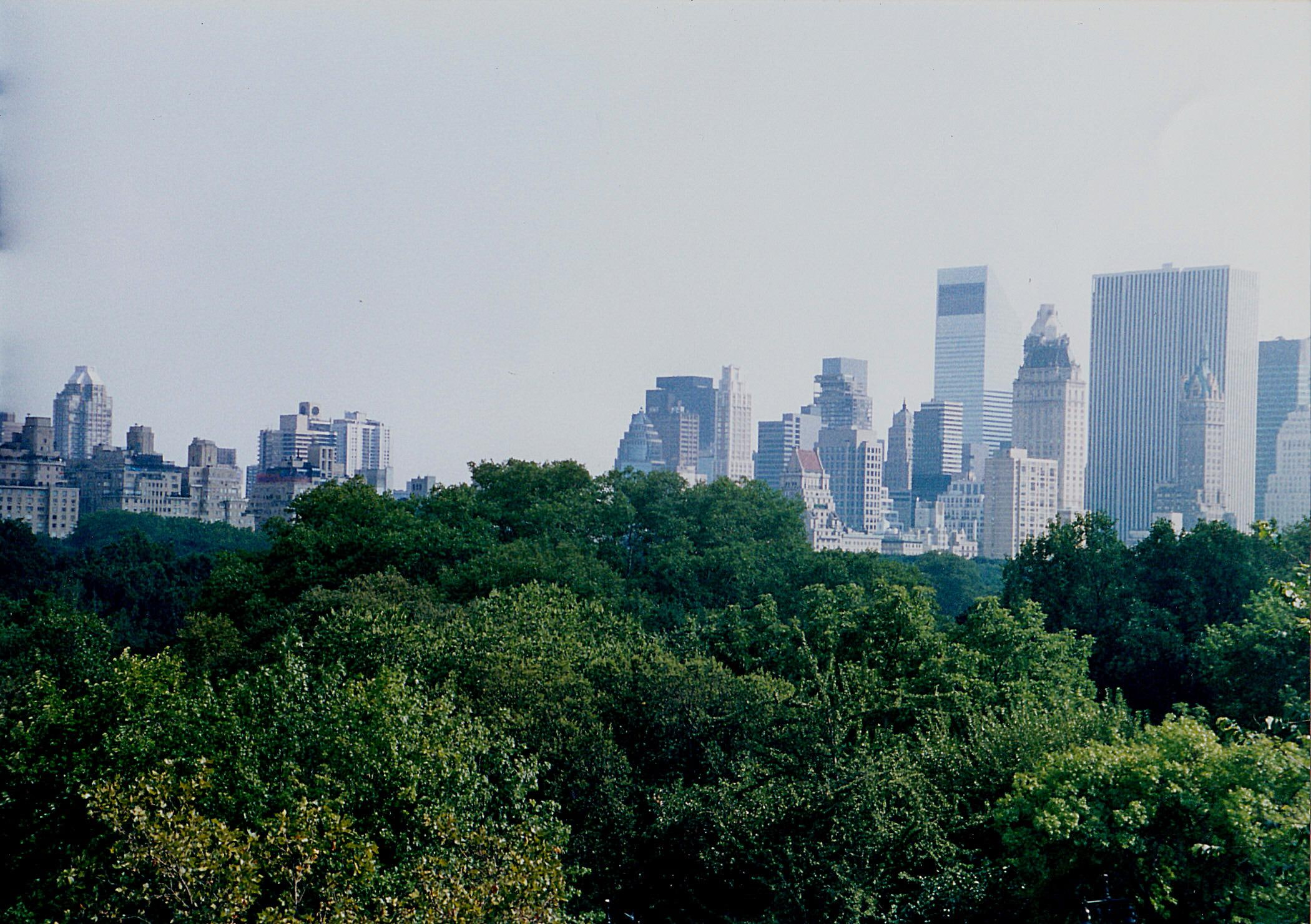 leaved, trees, new, park, new york, green, 1080P, city, buildings, animals, central park, central, york, manhattan, HD Wallpaper