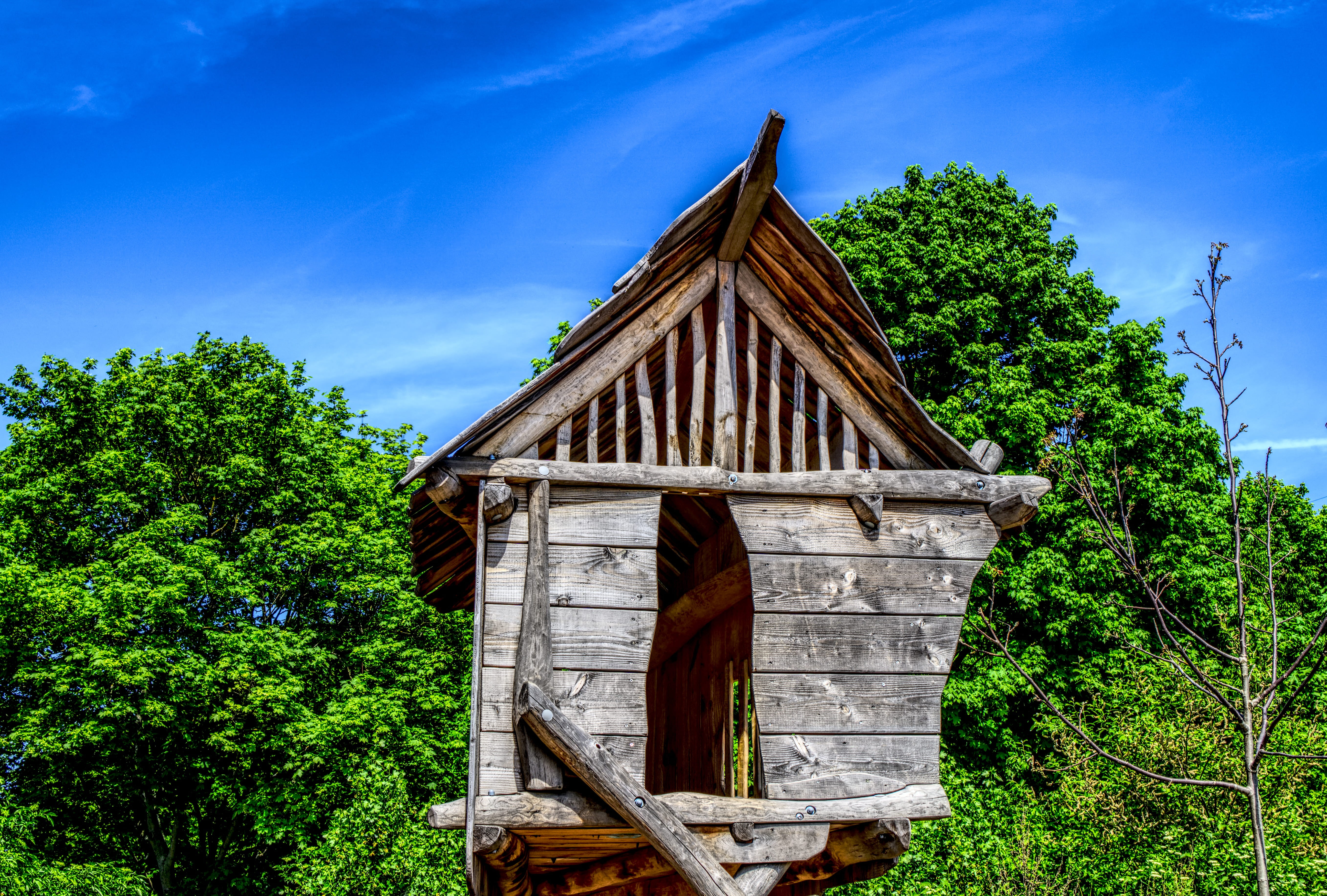 rustic, plant, old, climbing tower, play, green color, high dynamic range, fun, low angle view, built structure, children, nature, day, architecture, playground, HD Wallpaper