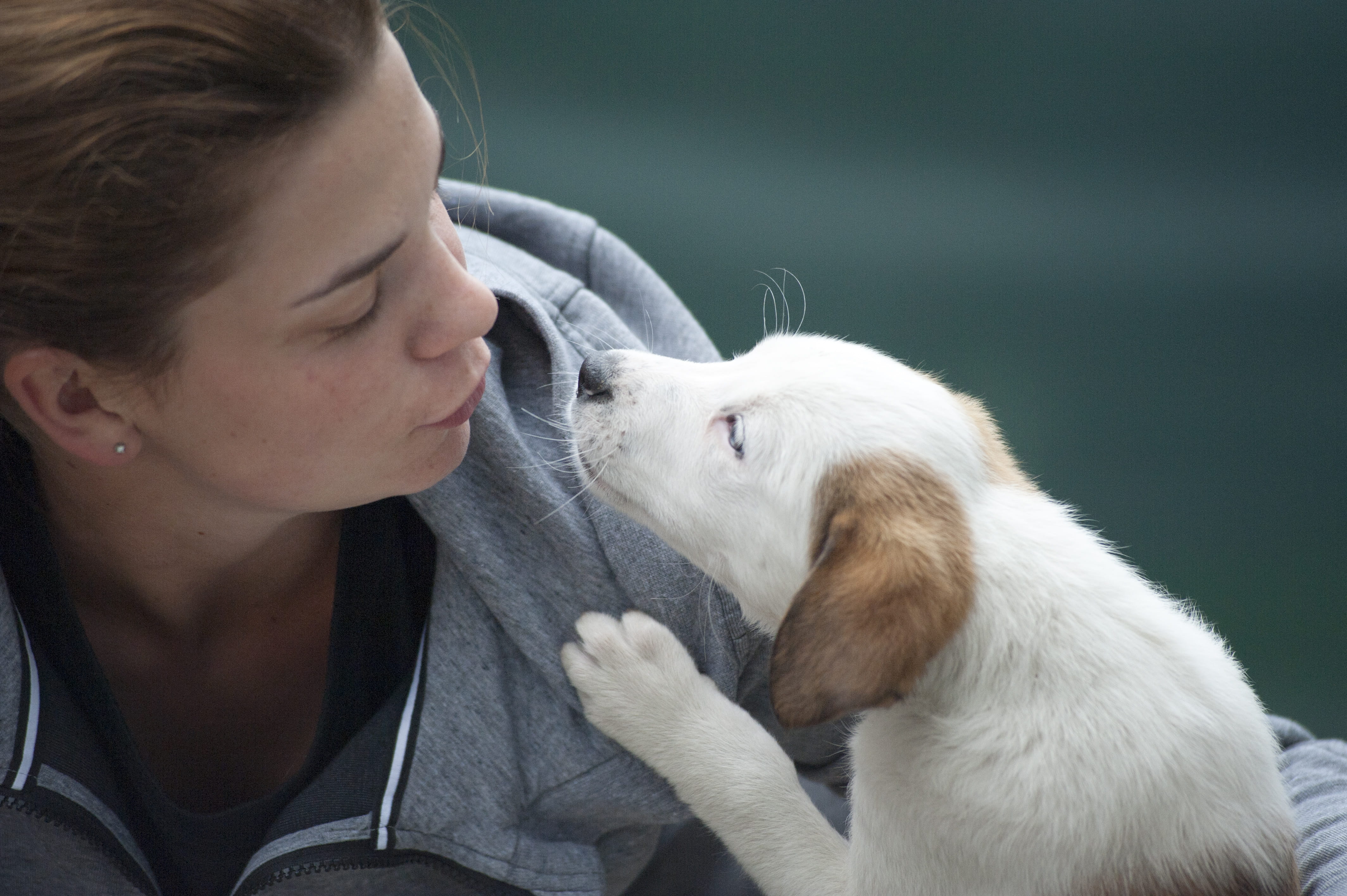 portrait, white, togetherness, breed, pet owner, puppy, 4K, ears, one person, furry, beside, domestic, love, women, happy, nose, domestic animals, cute, HD Wallpaper