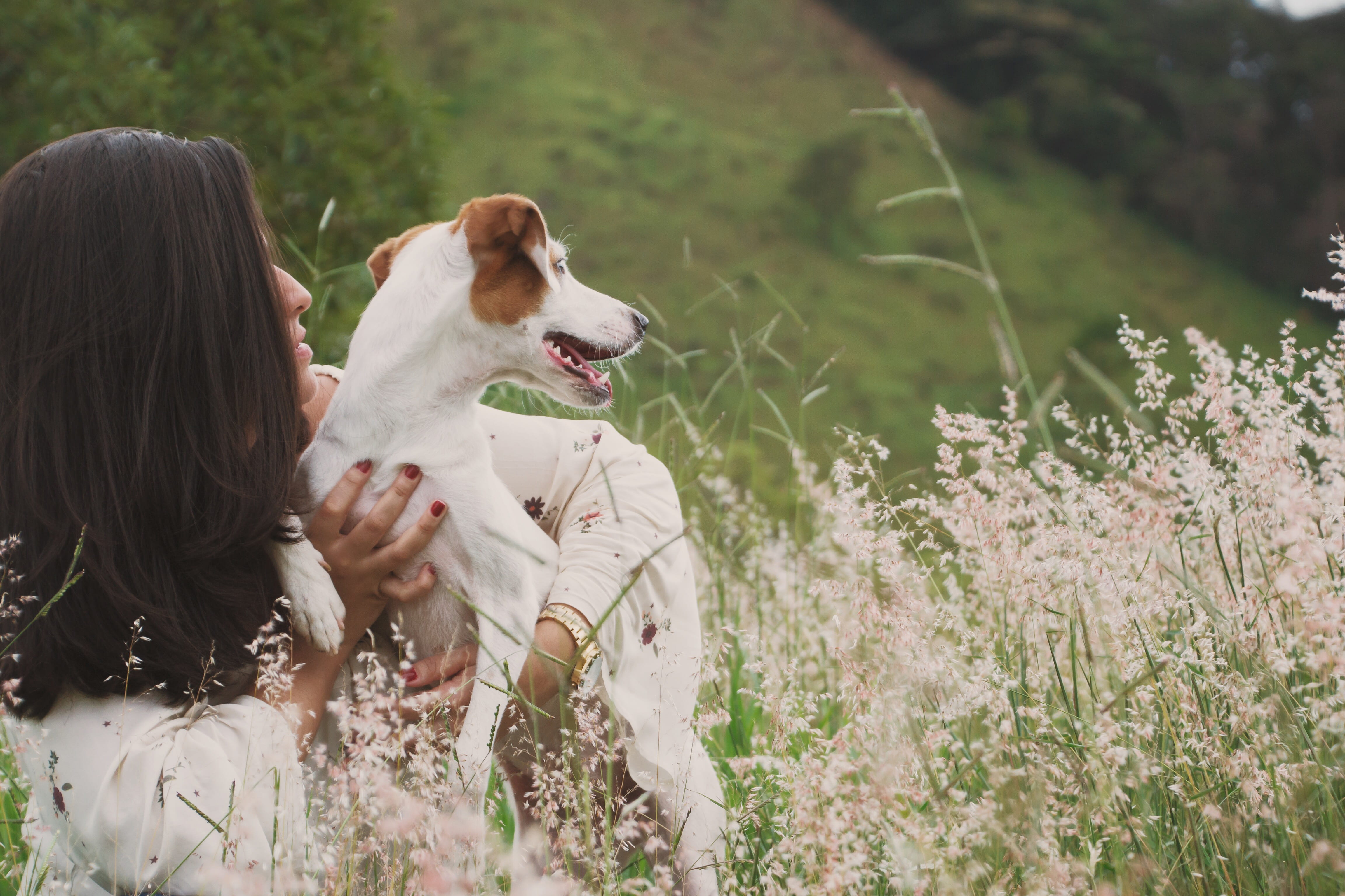 dress, cute, love, day, adorable, plant, vertebrate, lifestyles, country, pets, outdoors, enjoyment, fun, purebred, leisure activity, animal, woman, fur, HD Wallpaper