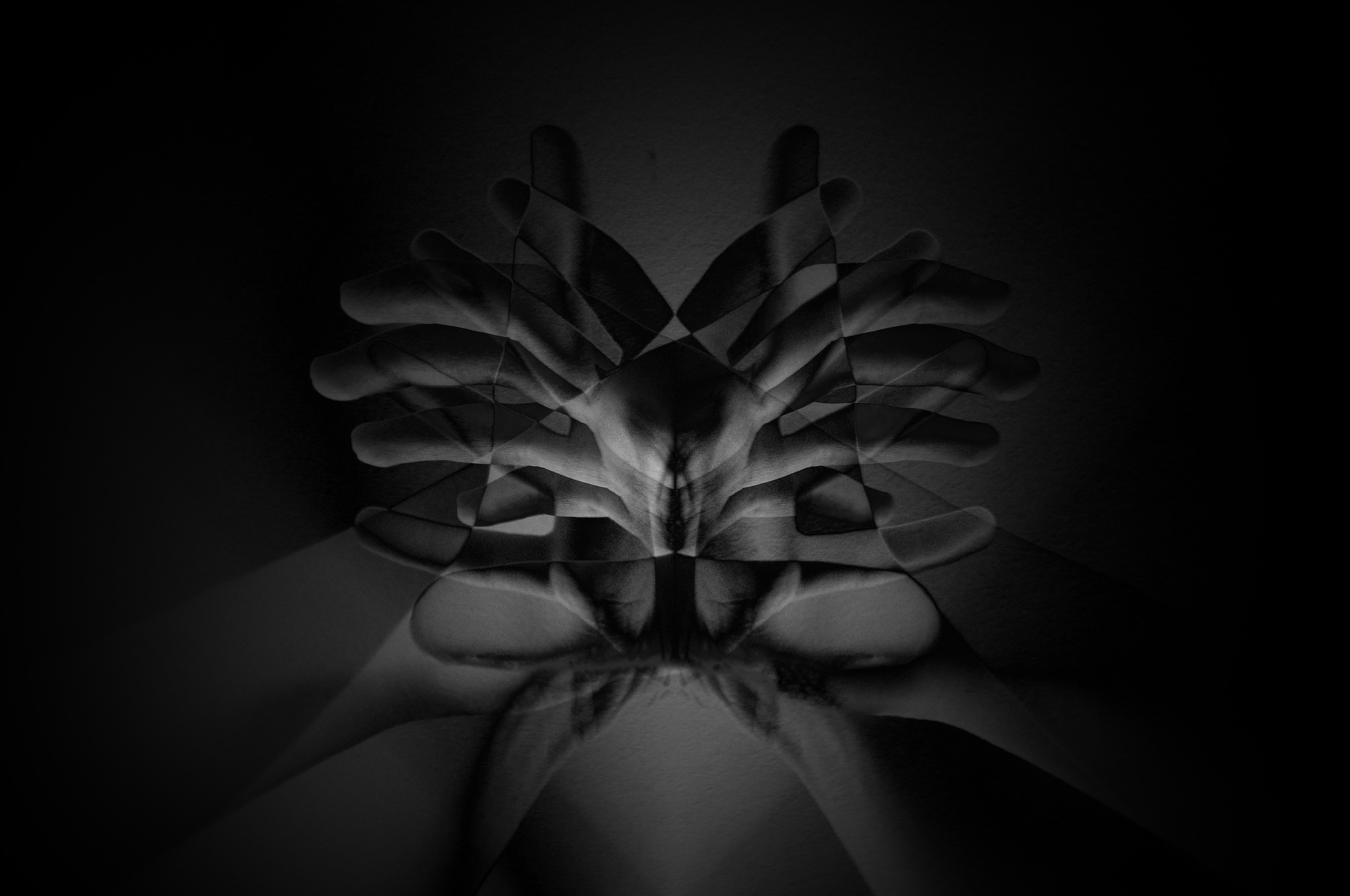 softness, finger, plant, monochrome, growth, people, vulnerability, human hand, beauty in nature, single object, close-up, black background, indoors, nature, HD Wallpaper