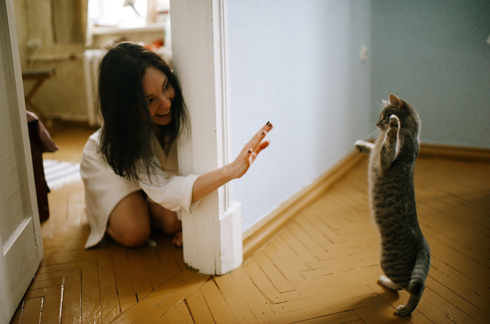 720P, casual clothing, smiling, animals, white shirt, domestic cat, kittens, mammal, women, Marat Safin, full length, one animal, domestic, domestic animals, HD Wallpaper