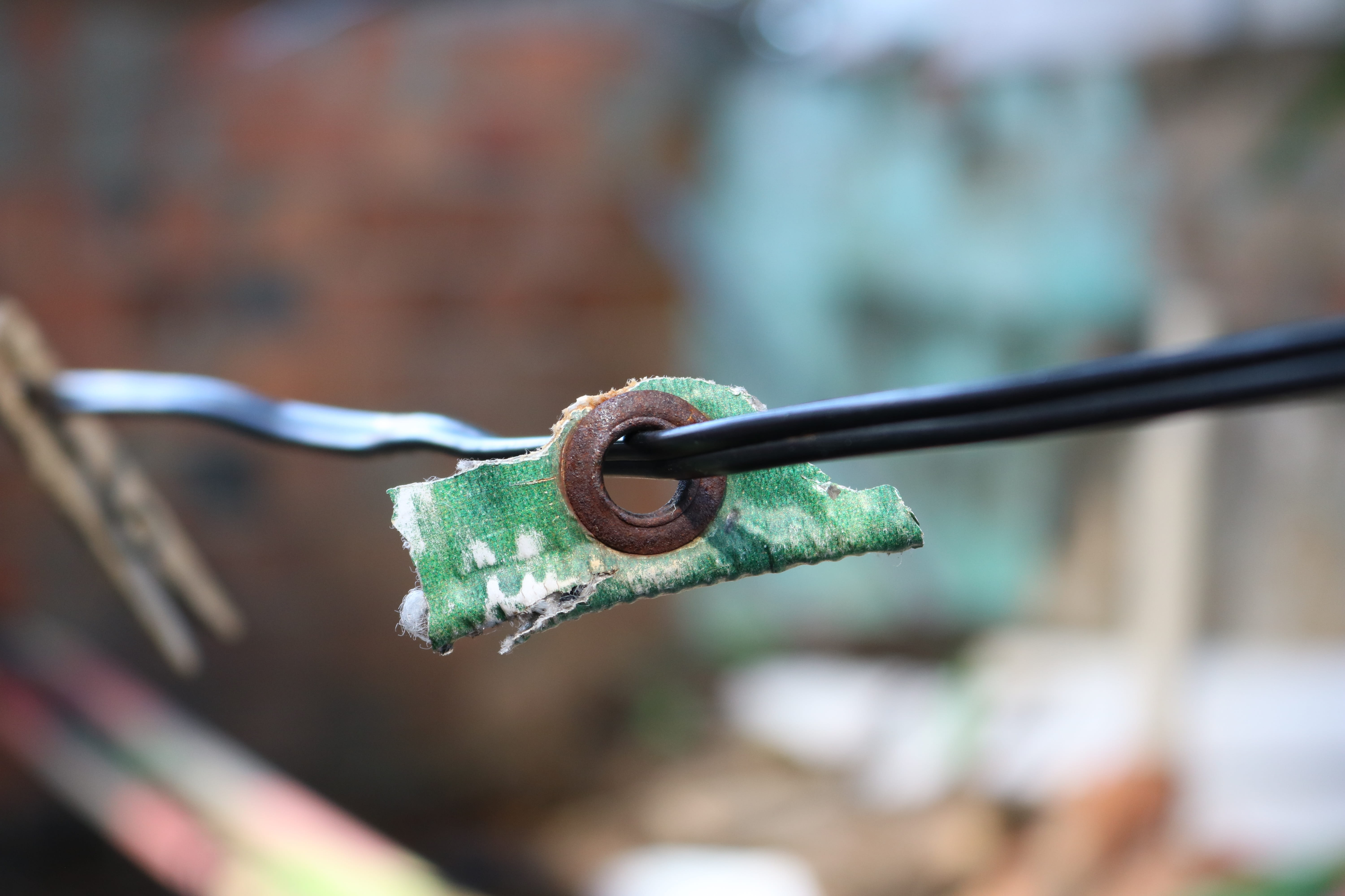 day, safety, close-up, wire, canvas, wet, eyelets, rust, clothesline, clothespin, iron, plant, suspended, rope, outdoors, old, selective focus, protection, HD Wallpaper