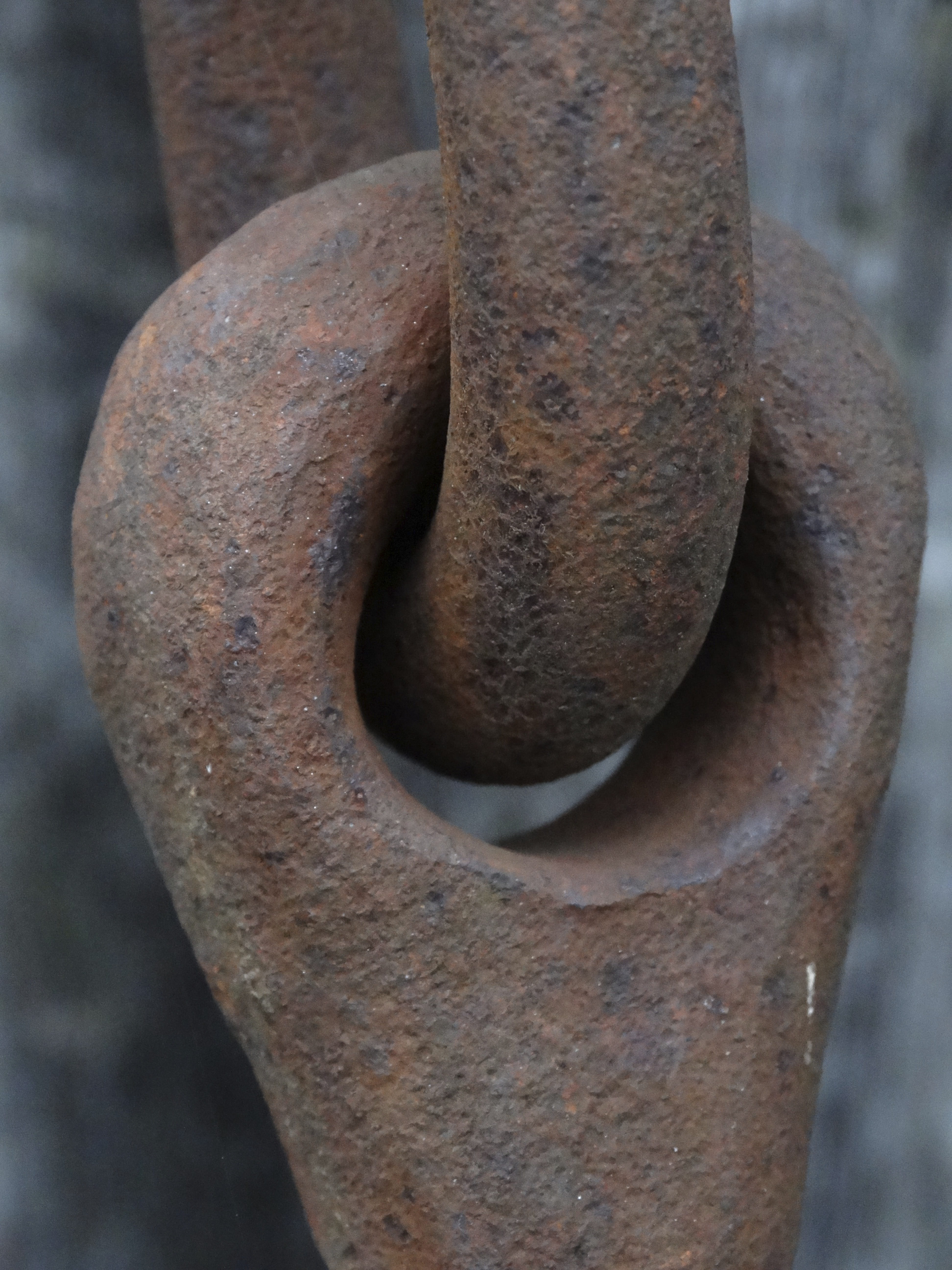 tree trunk, focus on foreground, chain link, Stainless, no people, plant, day, Scrap, rusty, textured, strength, tree, art and craft, close-up, Scrap Iron, Phone HD Wallpaper