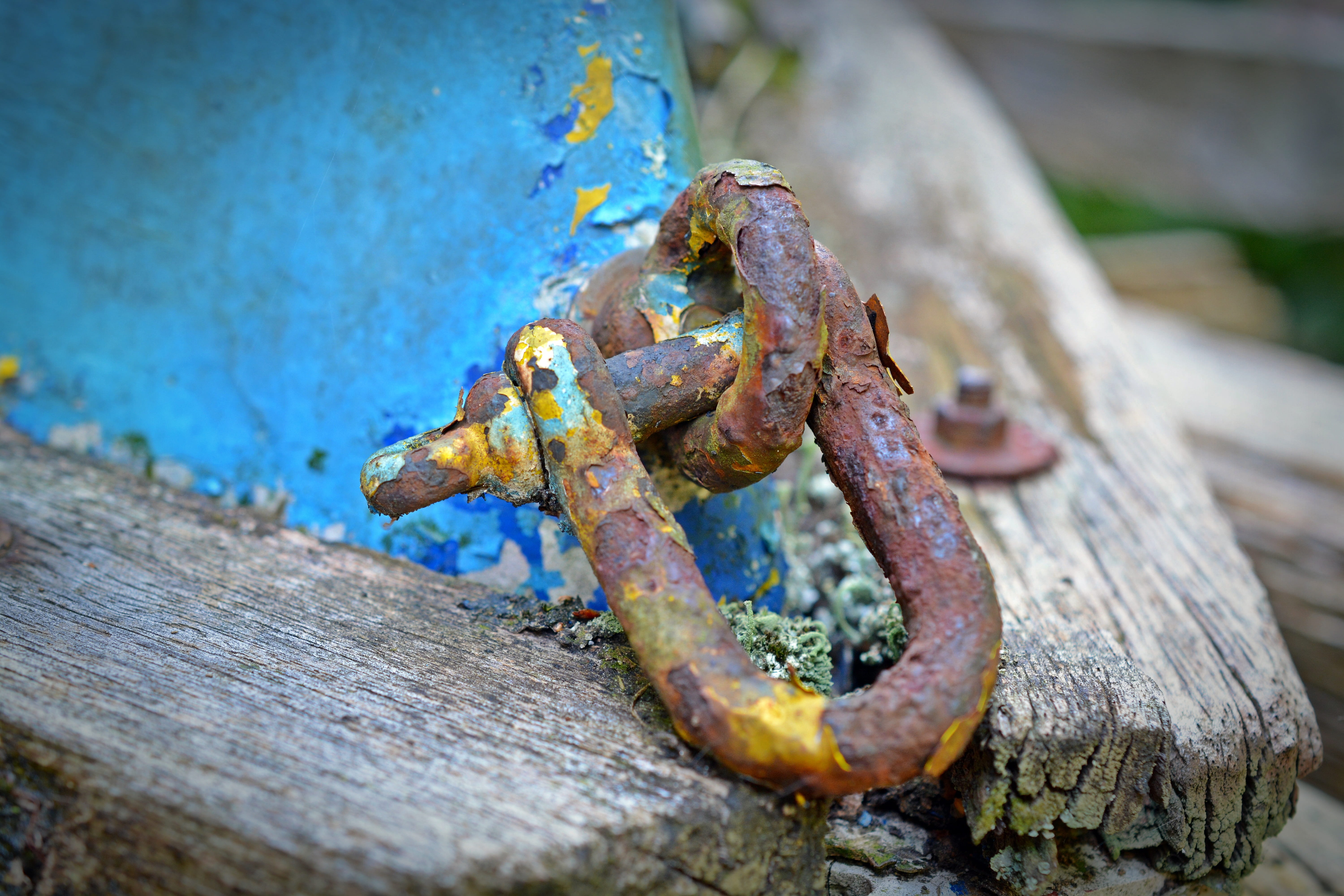 Eyelet, wood - material, chain, Stainless, rusty, outdoors, close-up, damaged, day, selective focus, security, Shackles, weathered, iron, metal, protection, HD Wallpaper