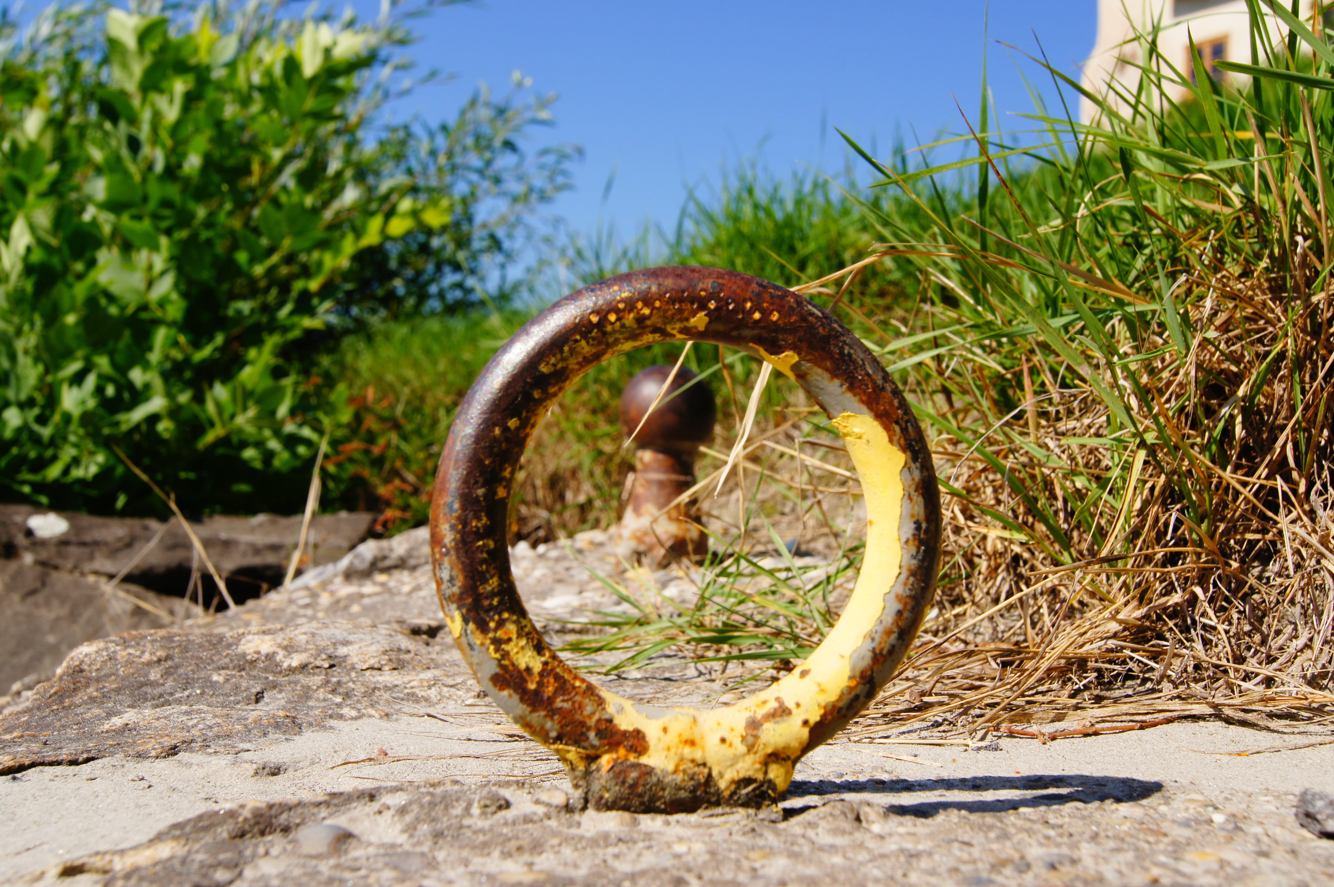 shadow, close-up, nature, shape, wheel, field, tree, Eyelet, land, sunlight, outdoors, green color, Ring, no people, sky, focus on foreground, growth, plant, HD Wallpaper