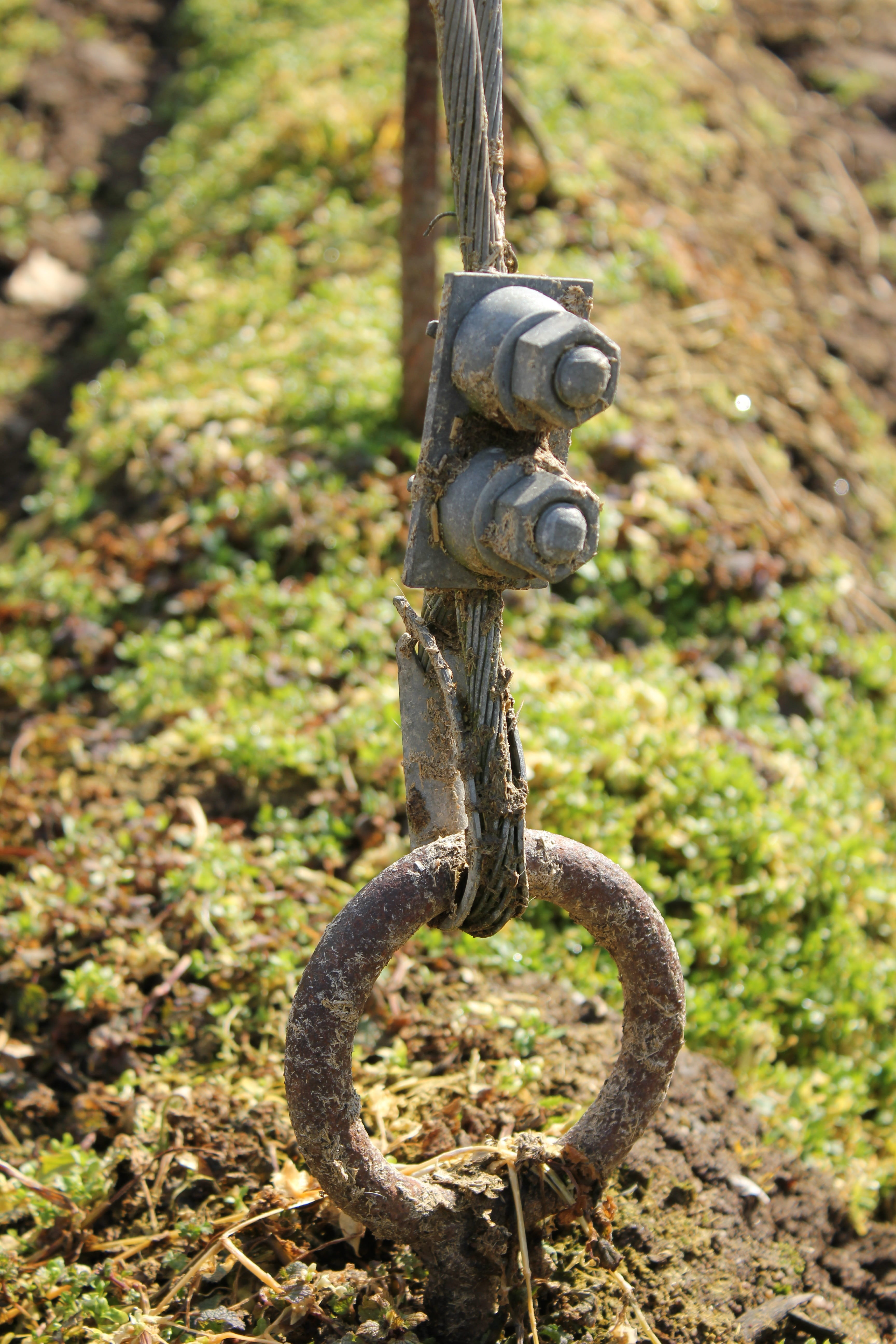 plant, Field, wood - material, strength, rope, rusty, tied up, nature, hook, Anchor, Eyelet, weathered, outdoors, close-up, metal, no people, focus on foreground, Phone HD Wallpaper