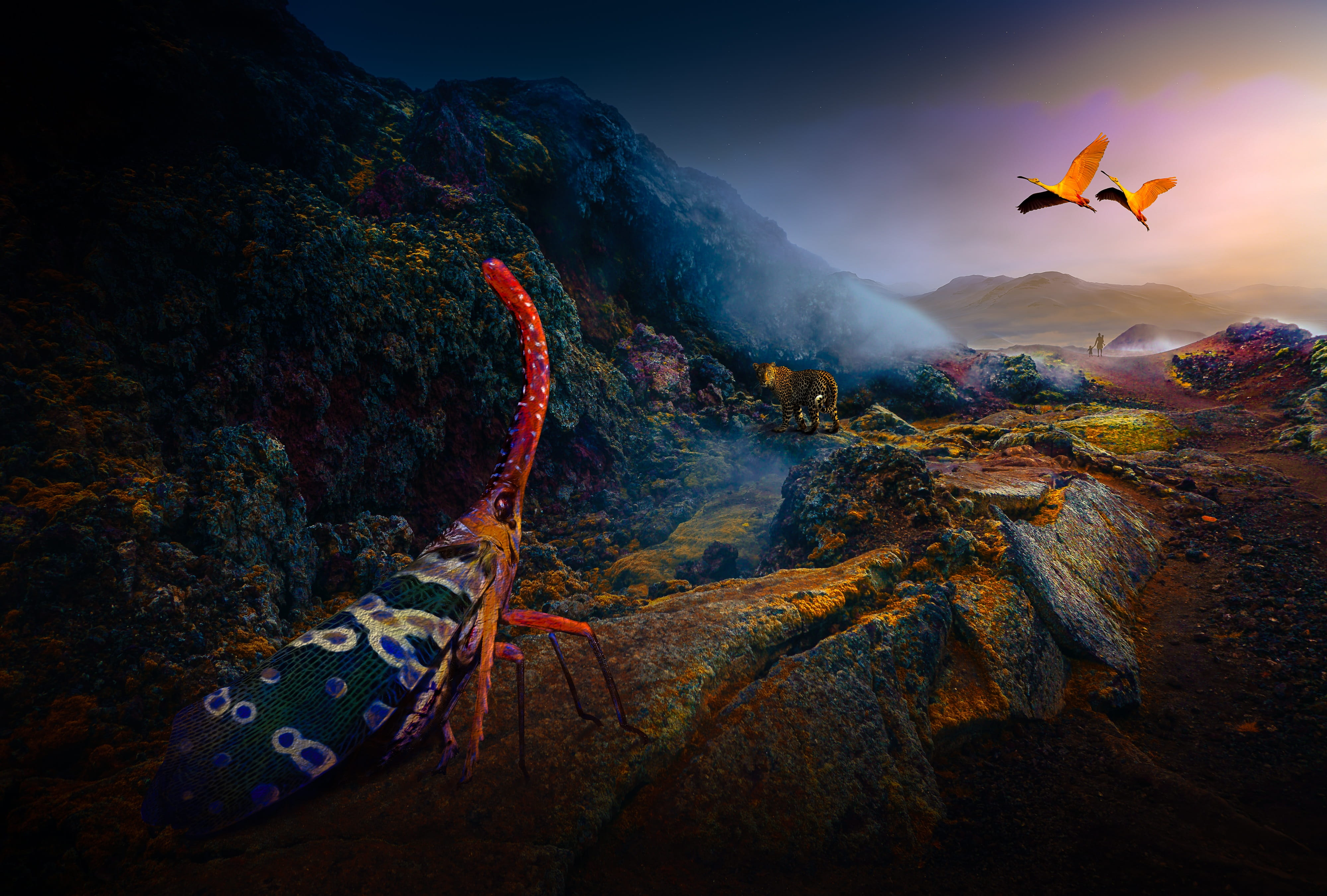 landscape, 4K, animal themes, rock formation, fantasy, rock - object, twilight, photo-montage, composing, rock, animal, rocky, mountain, atmosphere, mood, HD Wallpaper