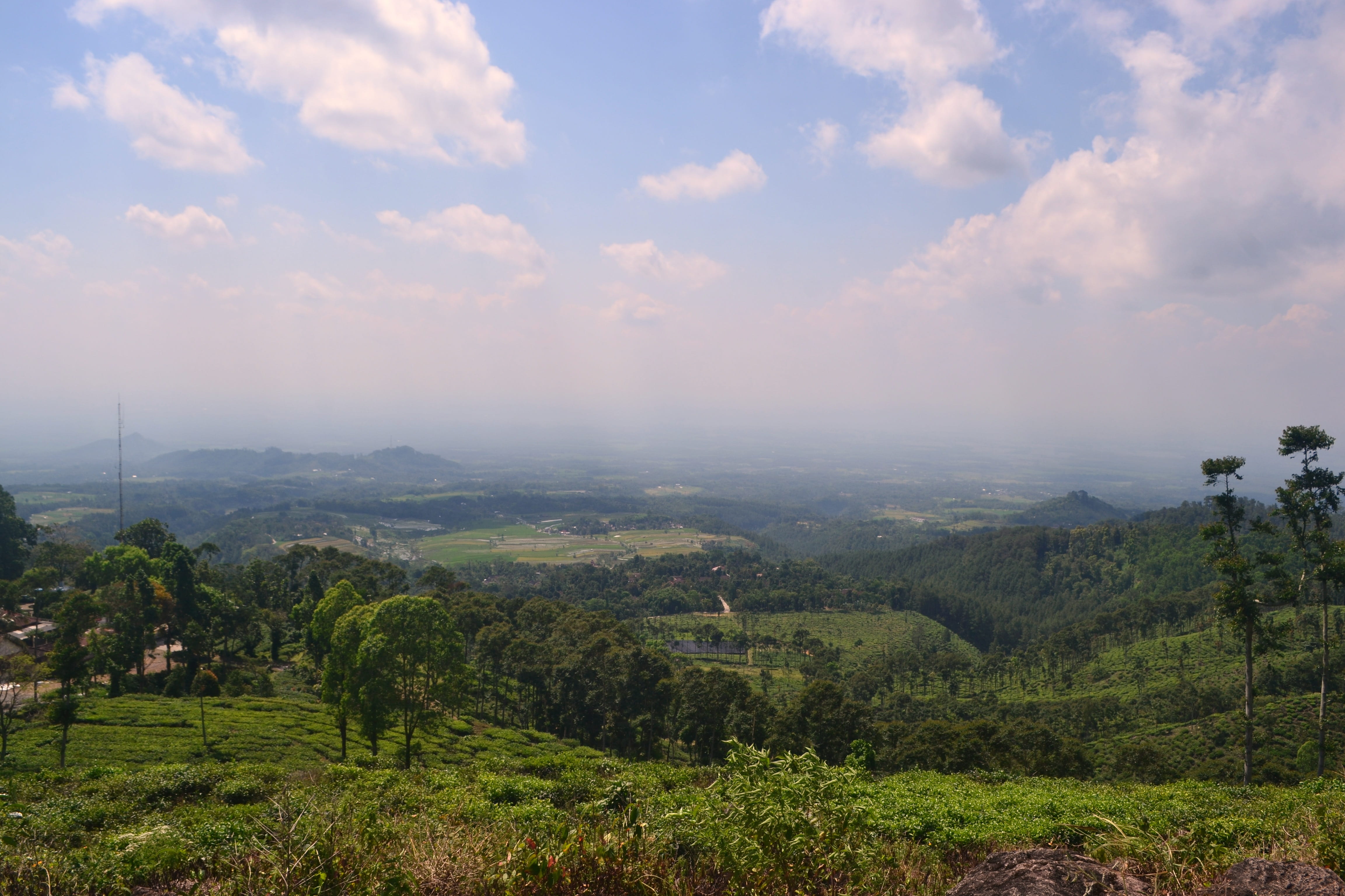 grass, tranquil scene, beauty in nature, land, sky, outdoors, tranquility, summer, non-urban scene, green, mountain, idyllic, nature, tea gardens, nat, HD Wallpaper