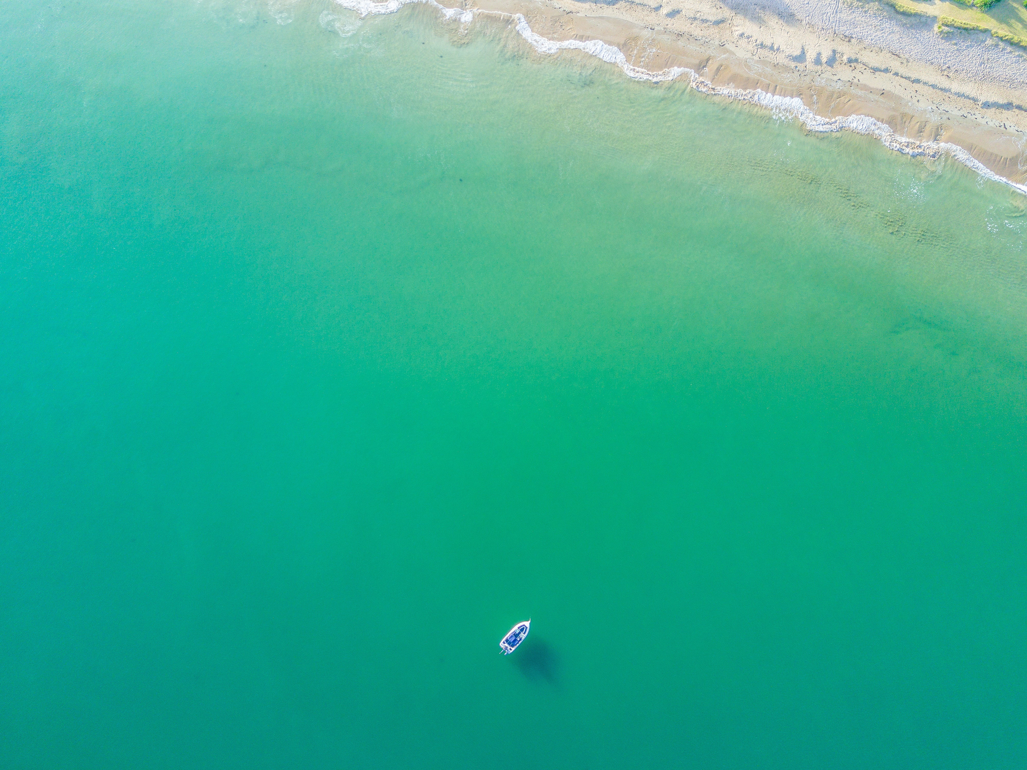 nature, sand, waterfront, turquoise colored, blue, land, bird, indoors, wave, beach, floating on water, copy space, day, eye, no people, sea, high angle view, HD Wallpaper