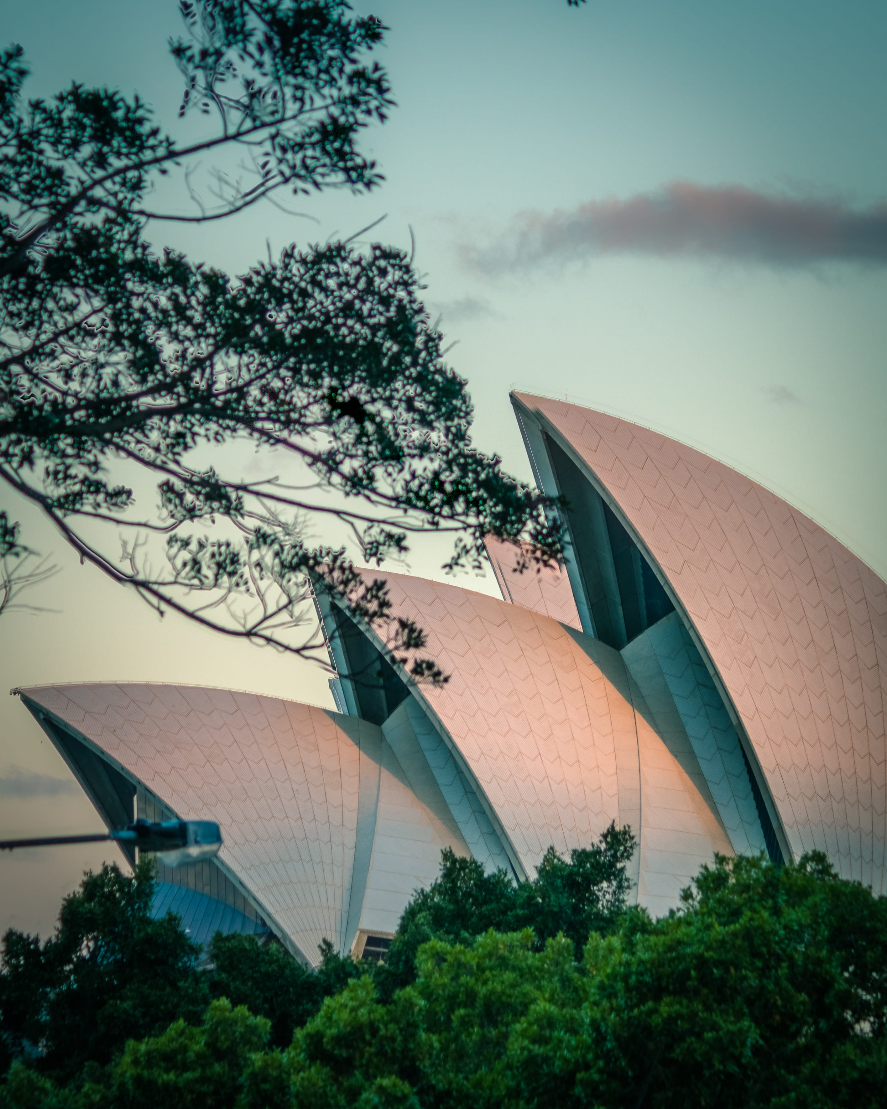 no people, building, architecture, sky, opera, travel destinations, arts culture and entertainment, nature, built structure, low angle view, tree, growth, Phone HD Wallpaper