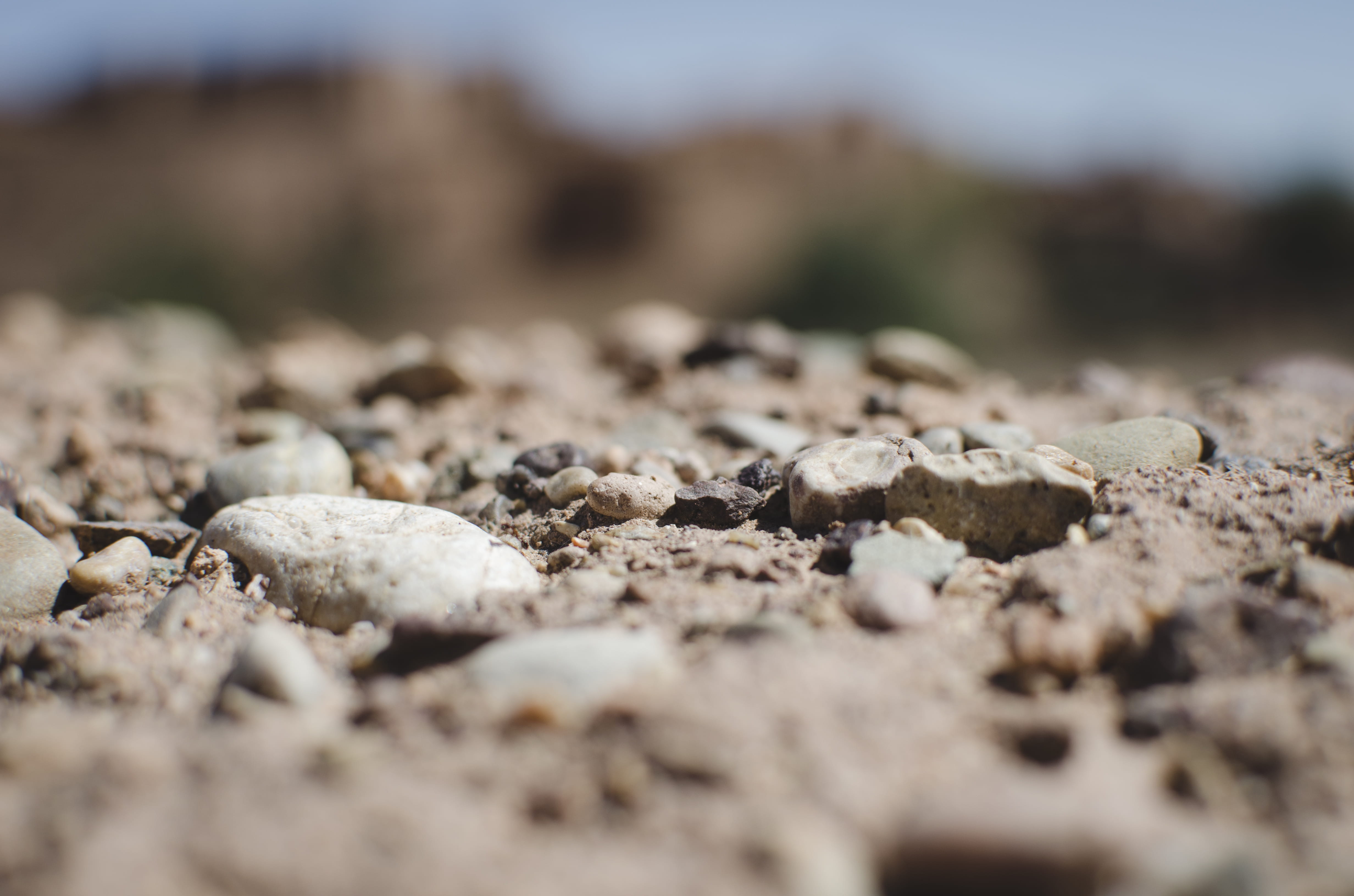 rocks, texture, surface level, day, land, dry, close -up, sunlight, plant, close-up, textured, stones, outdoors, solid, large group of objects, no people, HD Wallpaper
