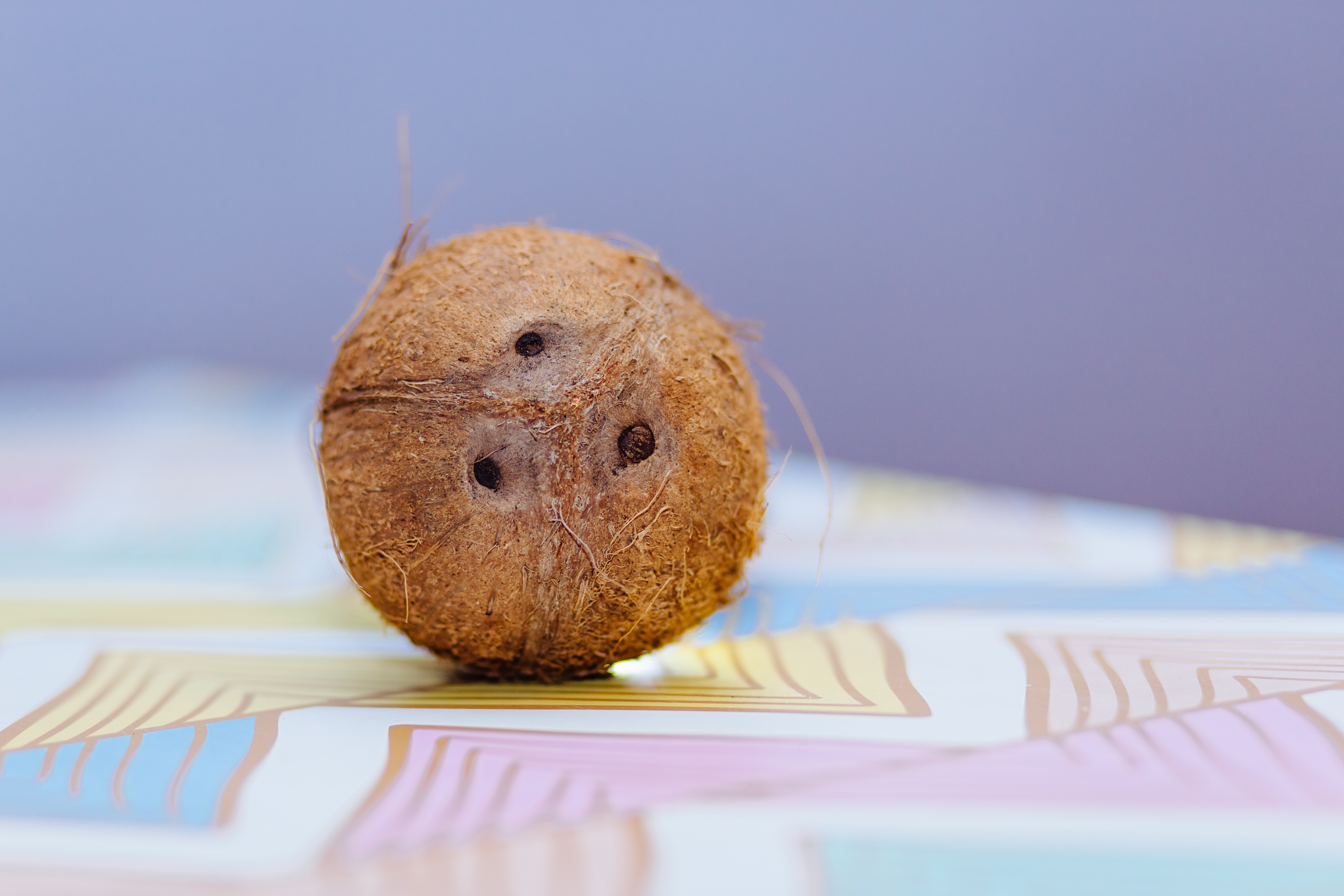 nut, brown, fresh, indoors, food and drink, exotic, fruit, wood - material, baked, selective focus, studio shot, snack, food, table, creativity, art and craft, HD Wallpaper