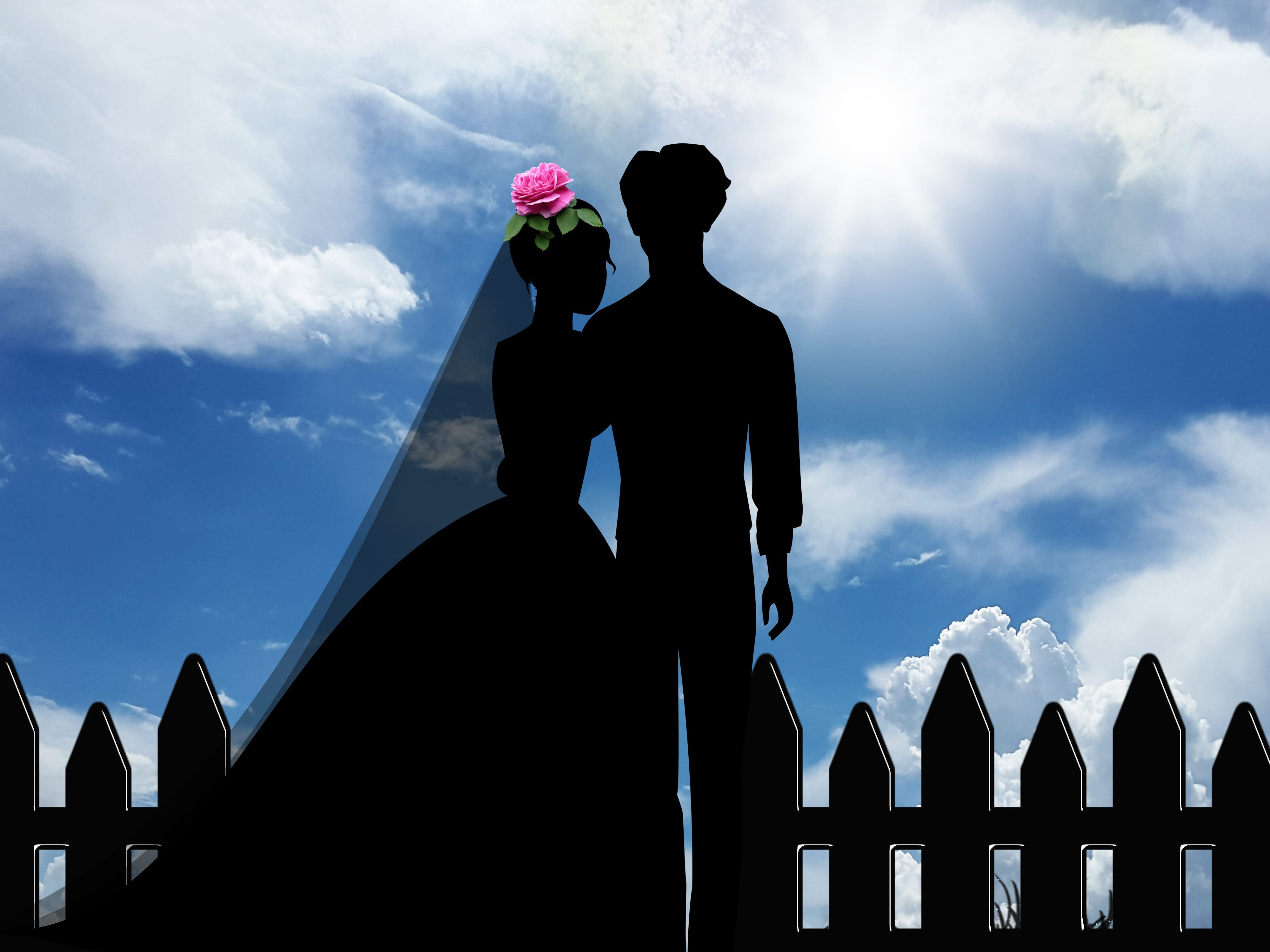 nature, lifestyles, men, cloud - sky, sky, couple, women, newlywed, standing, real people, people, wedding, flowering plant, together, silhouette, affection, HD Wallpaper