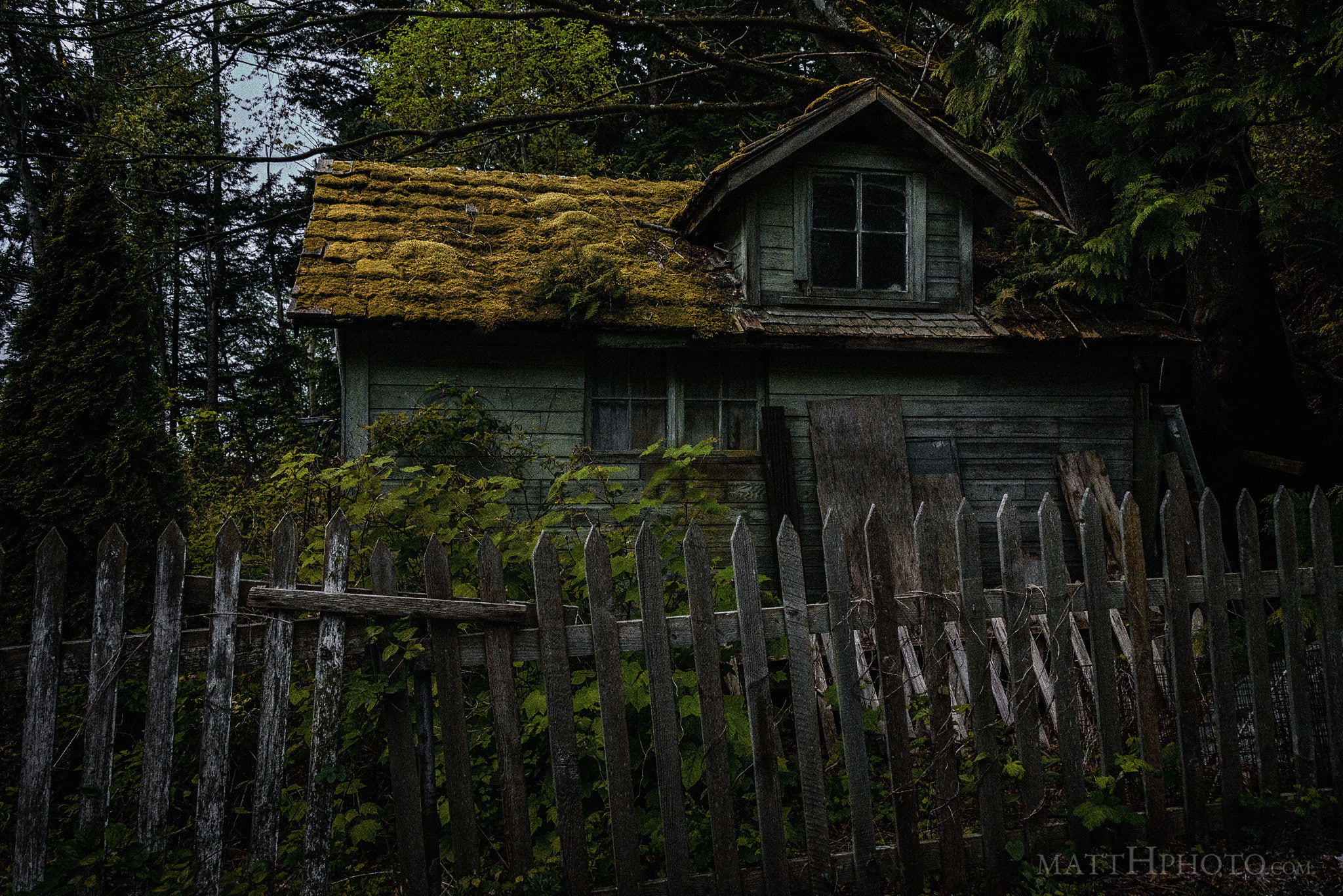 tree, architecture, boundary, green color, outdoors, 500px, fence, matt, growth, building exterior, cottage, building, dark, x, day, plant, hd, final, house, HD Wallpaper