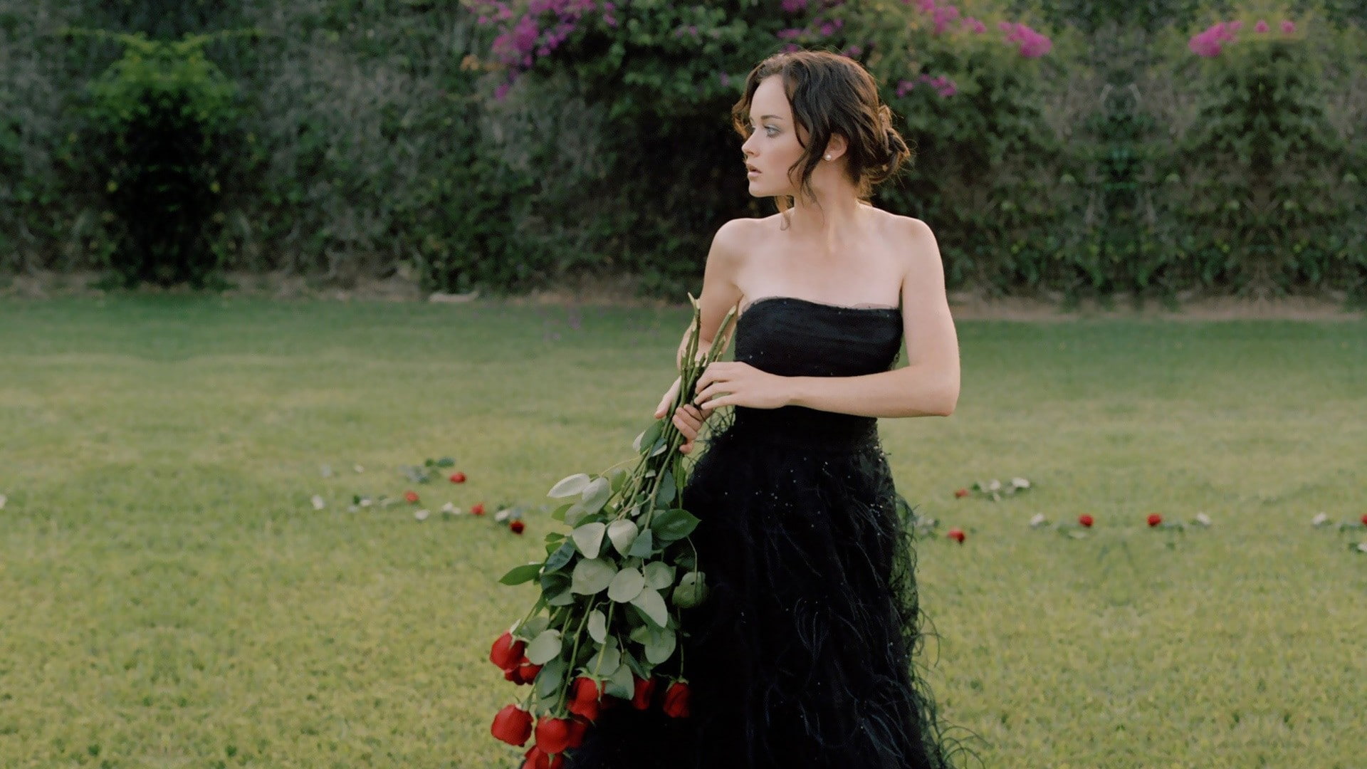women outdoors, Alexis Bledel, actress, 1080P, bare shoulders, rose, dress, black dress, women, skirt, black clothing, flowers, brunette, grass, blue eyes, HD Wallpaper