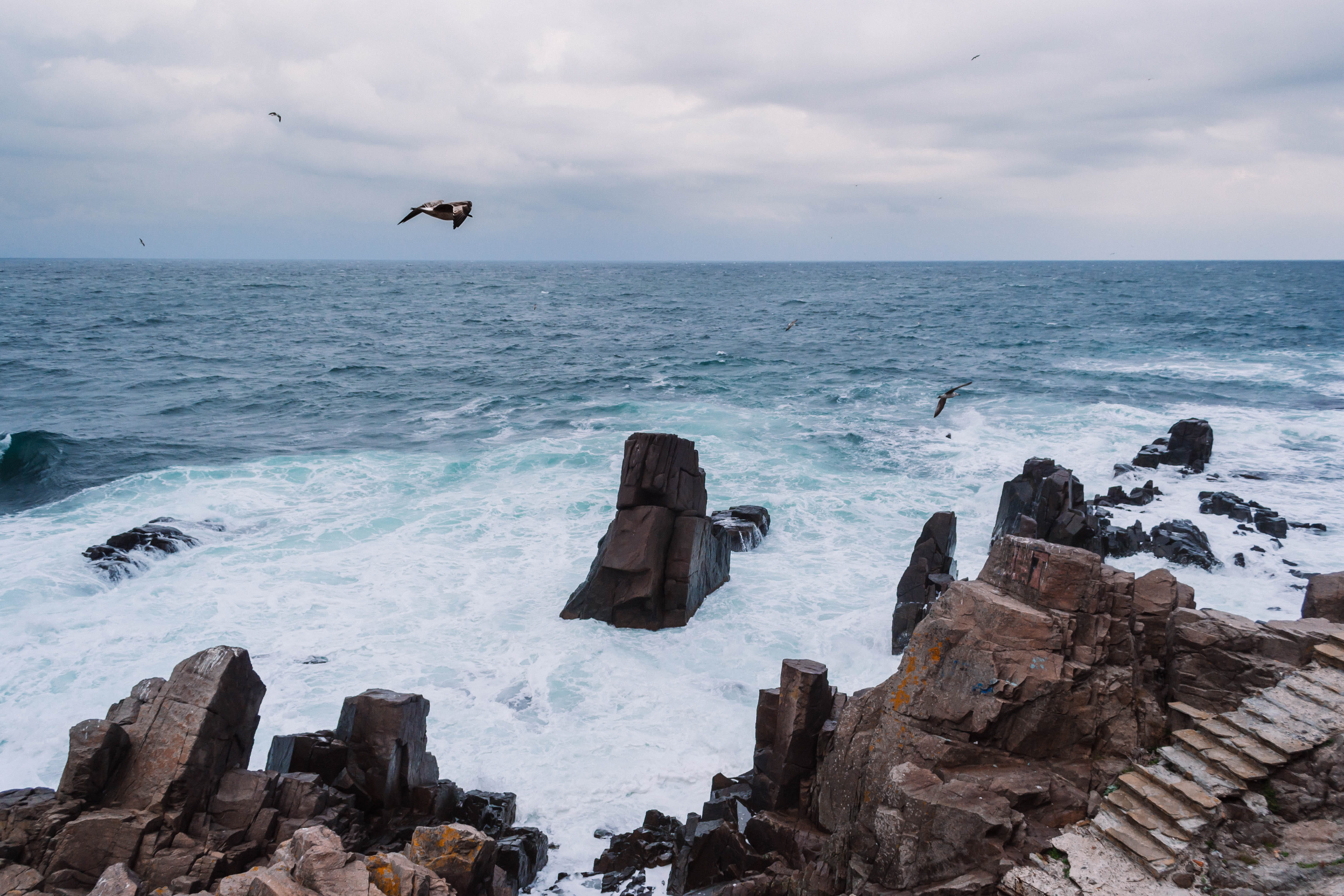 stones, rock - object, vacation, ripples, beach, animals in the wild, seascape, vertebrate, surf, birds, rockyscape, outdoors, avian, flying, flight, travel, HD Wallpaper