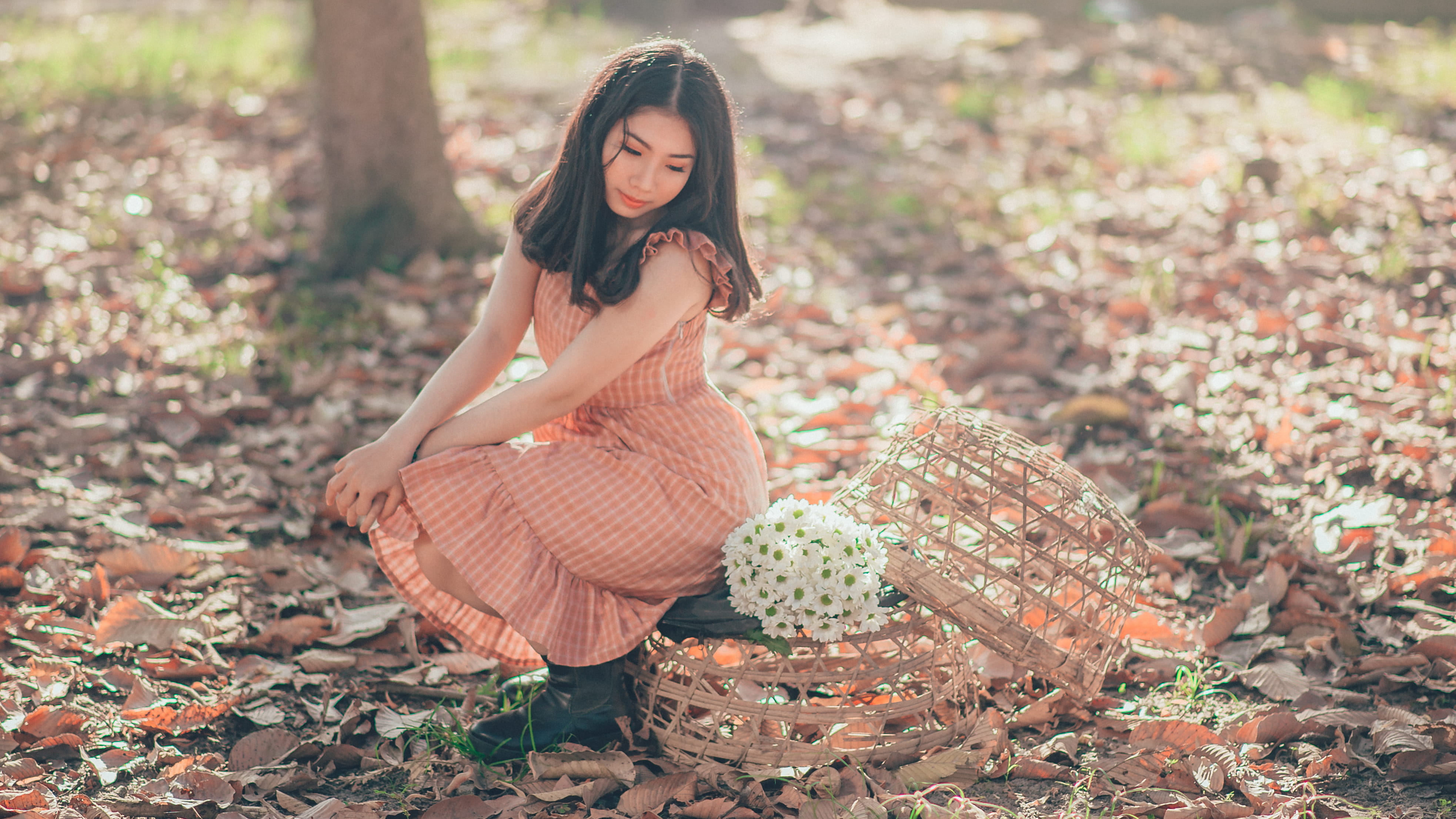 style, baskets, springtime, beside, dry leaves, dress, woman, hair, cute, woods, fall, autumn, women, people, daylight, nature, smile, person, pose, pretty, HD Wallpaper