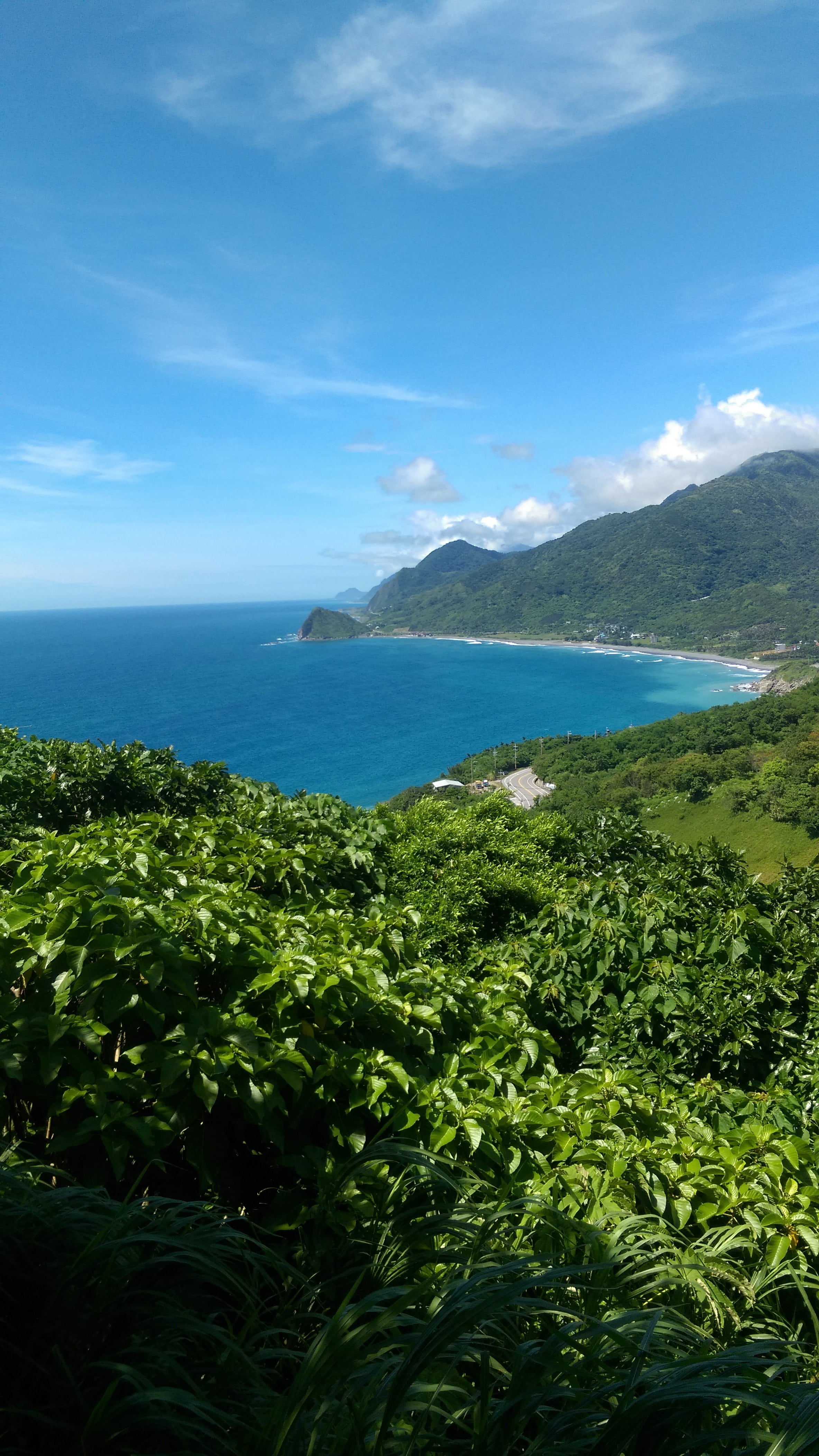 scenics - nature, no people, outdoors, tranquil scene, horizon over water, day, blue, tranquility, sea, land, 4K, growth, nature, hualien, sky, green color, Phone HD Wallpaper