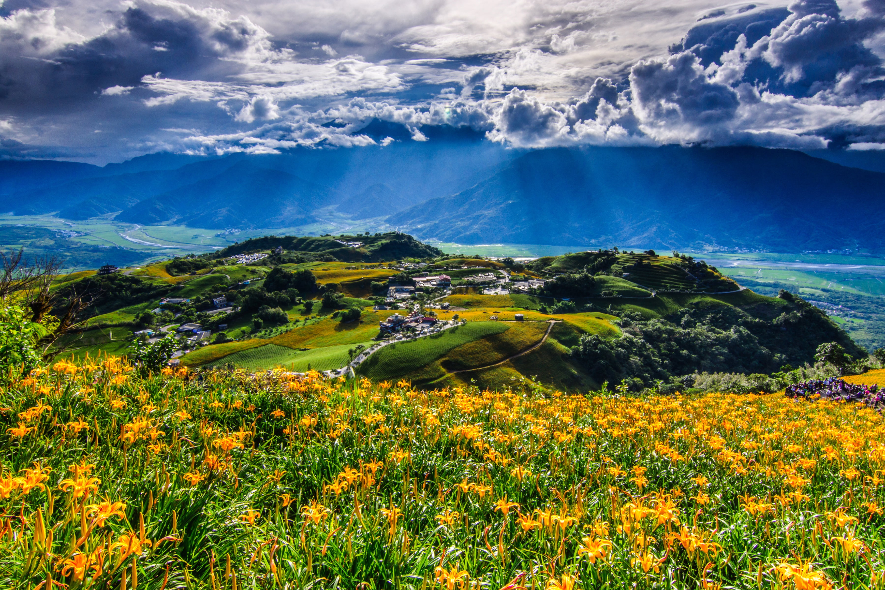 mountain lilies, 2K, village, Hualien County, Fuli, clouds, Taiwan, China, flowers, the Hualien County, mountains, panorama, HD Wallpaper