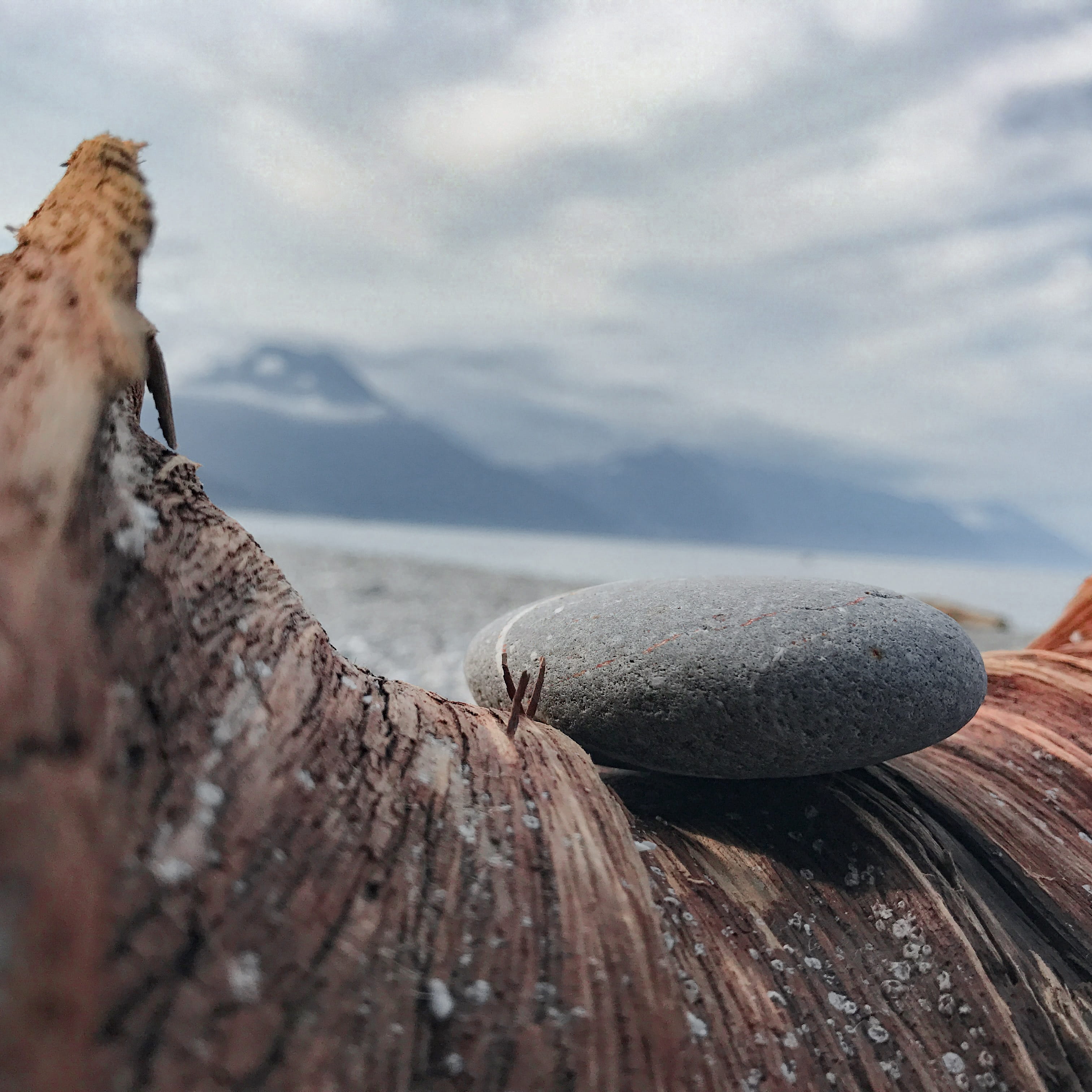 wood, rock, qixing lake, sky, solid, rock - object, cloud - sky, tranquil scene, water, animal, no people, day, close-up, taiwan, wood - material, 2K, Phone HD Wallpaper