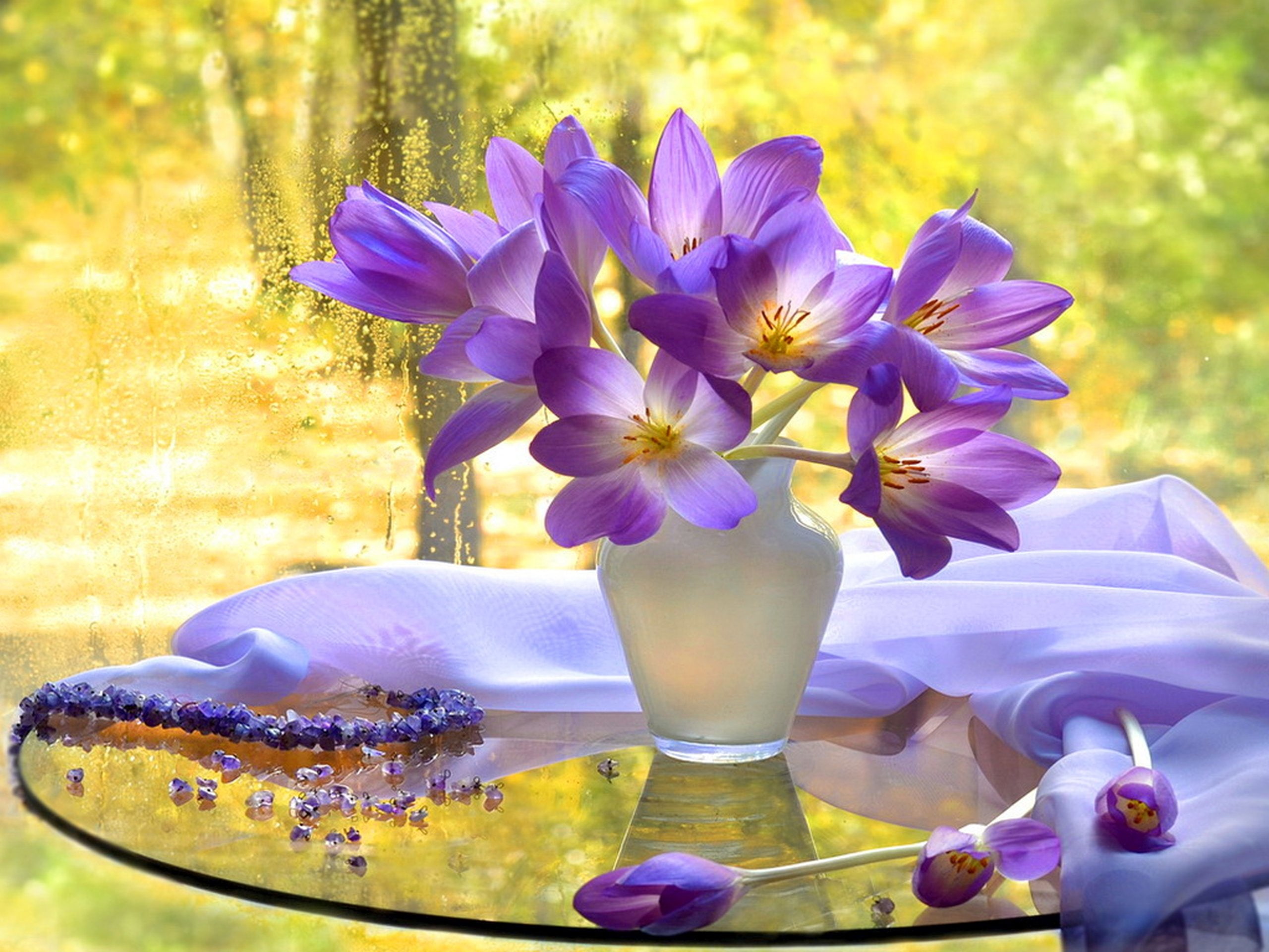 delicate, nature, harmony, window, autumn, bouquet, pretty, life, view, beautiful, 2K, tender, vase, flowers, HD Wallpaper