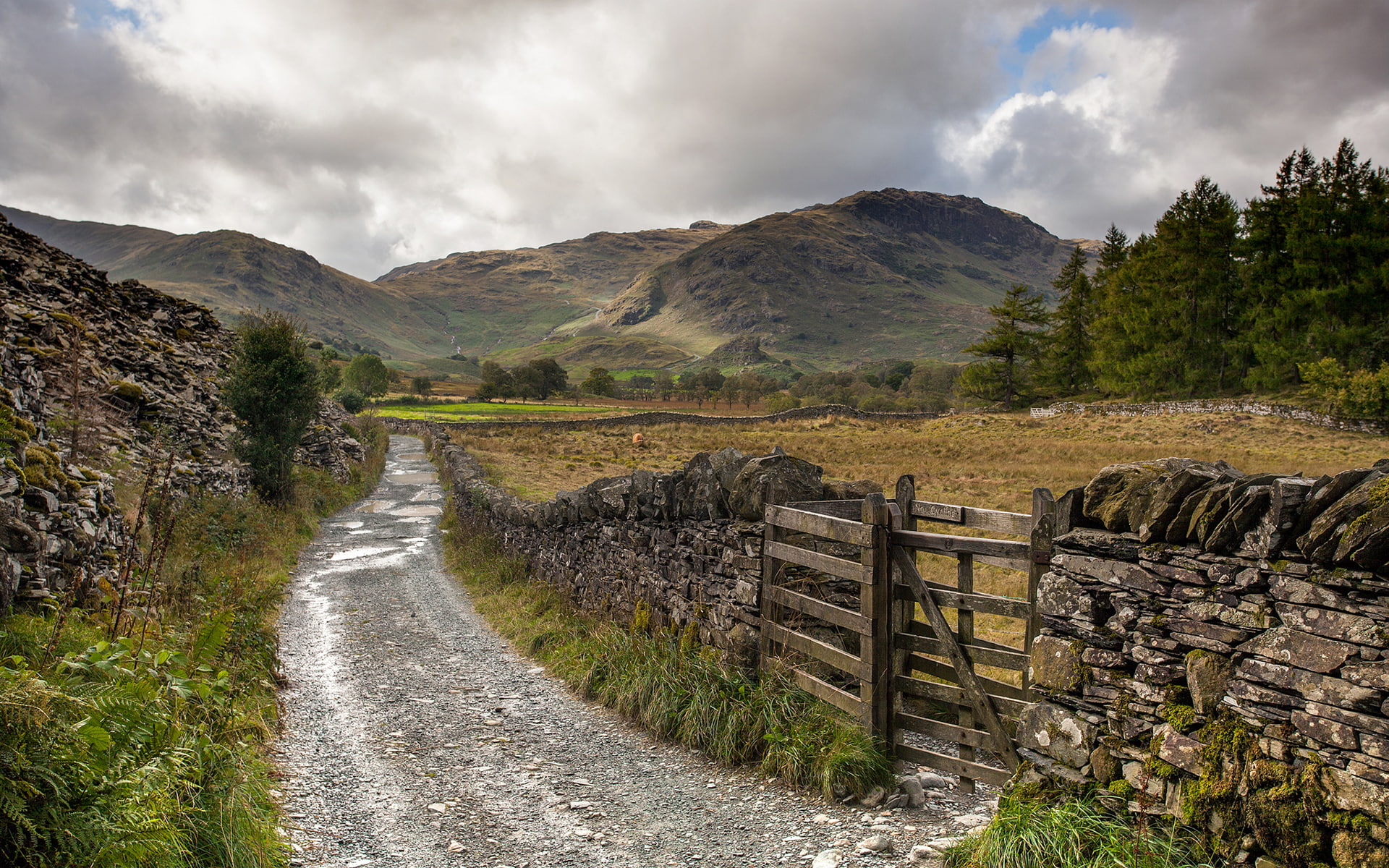 mountains, 1080P, path, rocks, stones, trail, landscape, fence, nature, hd, HD Wallpaper