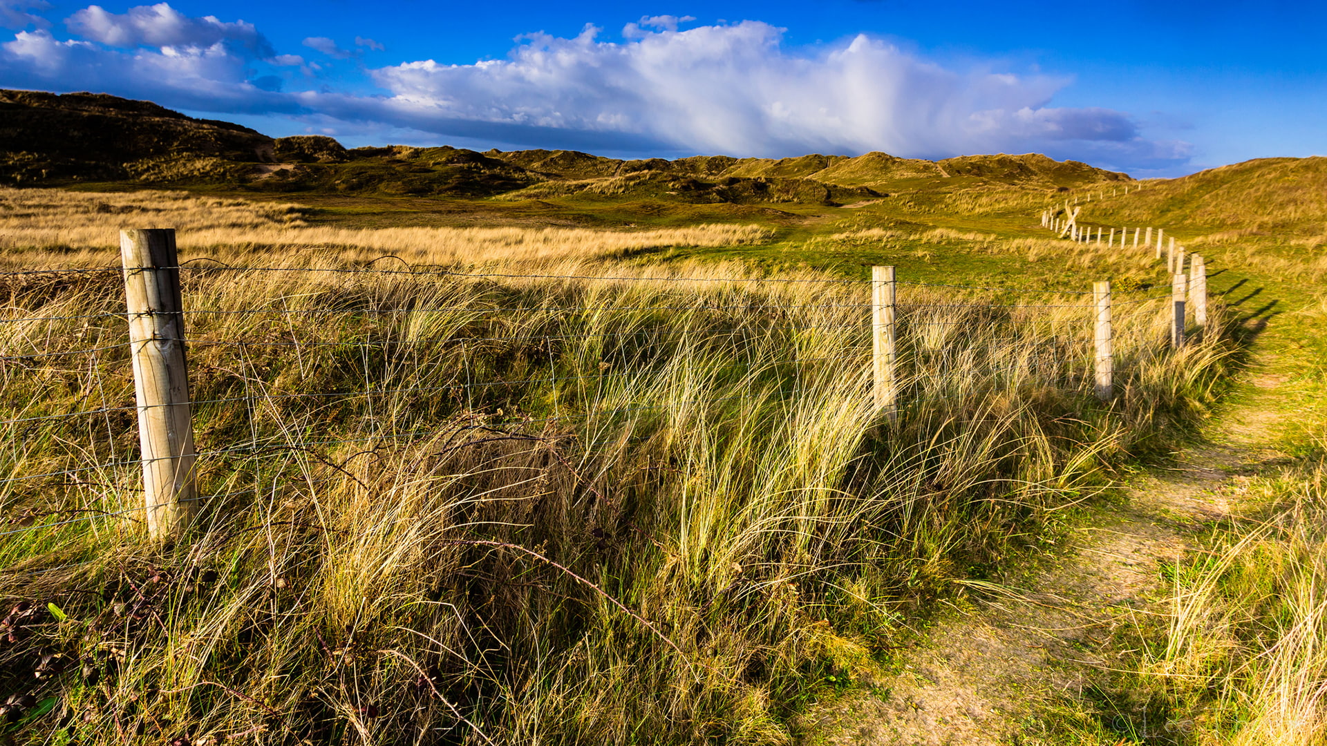 1080P, path, trail, fence, hd, nature, grass, HD Wallpaper