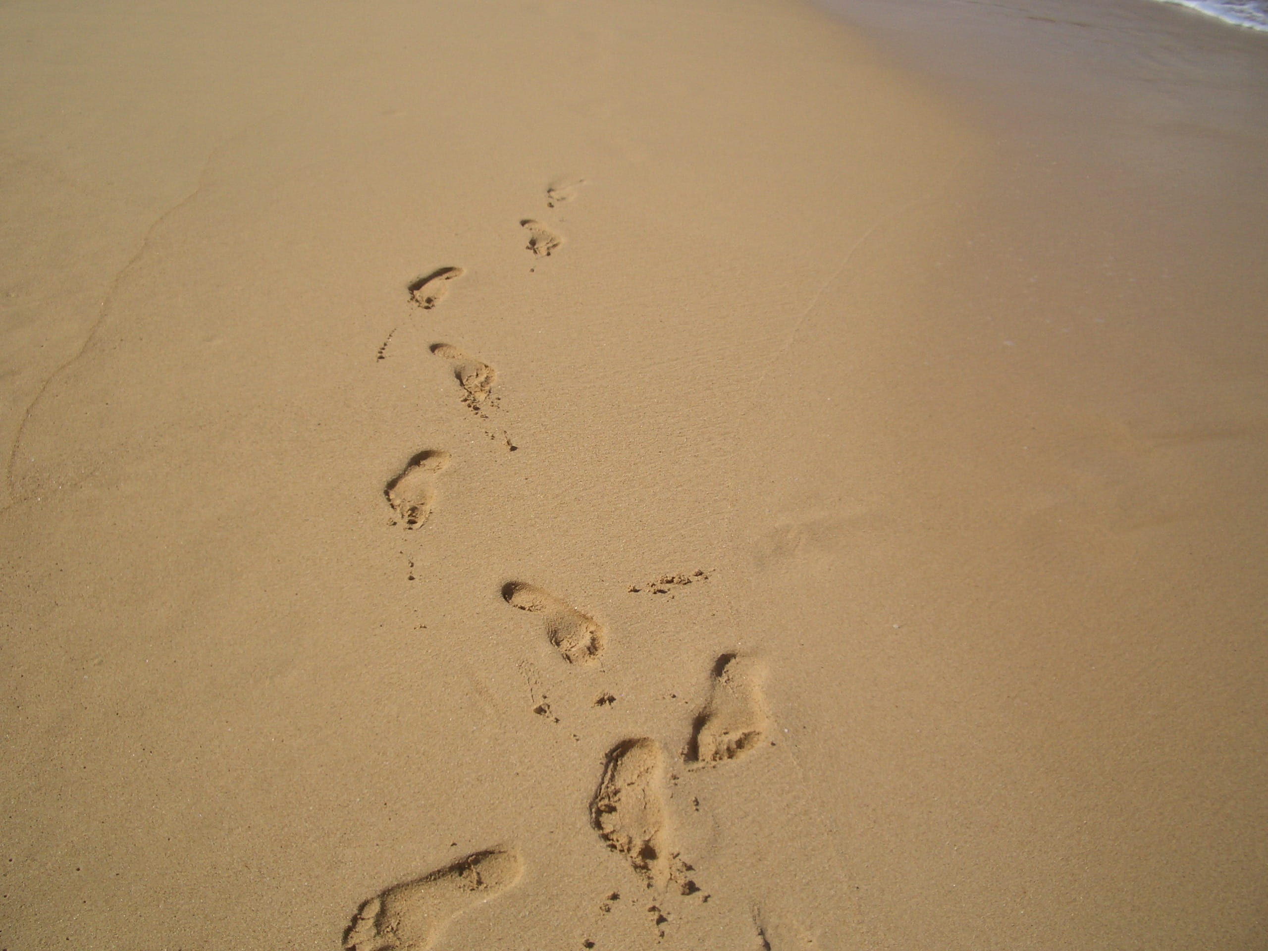 mystery, shoreline, no people, trail, day, full frame, footprint, land, coastline, coast, journey, mark, step, vacation, tranquility, seashore, shore, track, HD Wallpaper