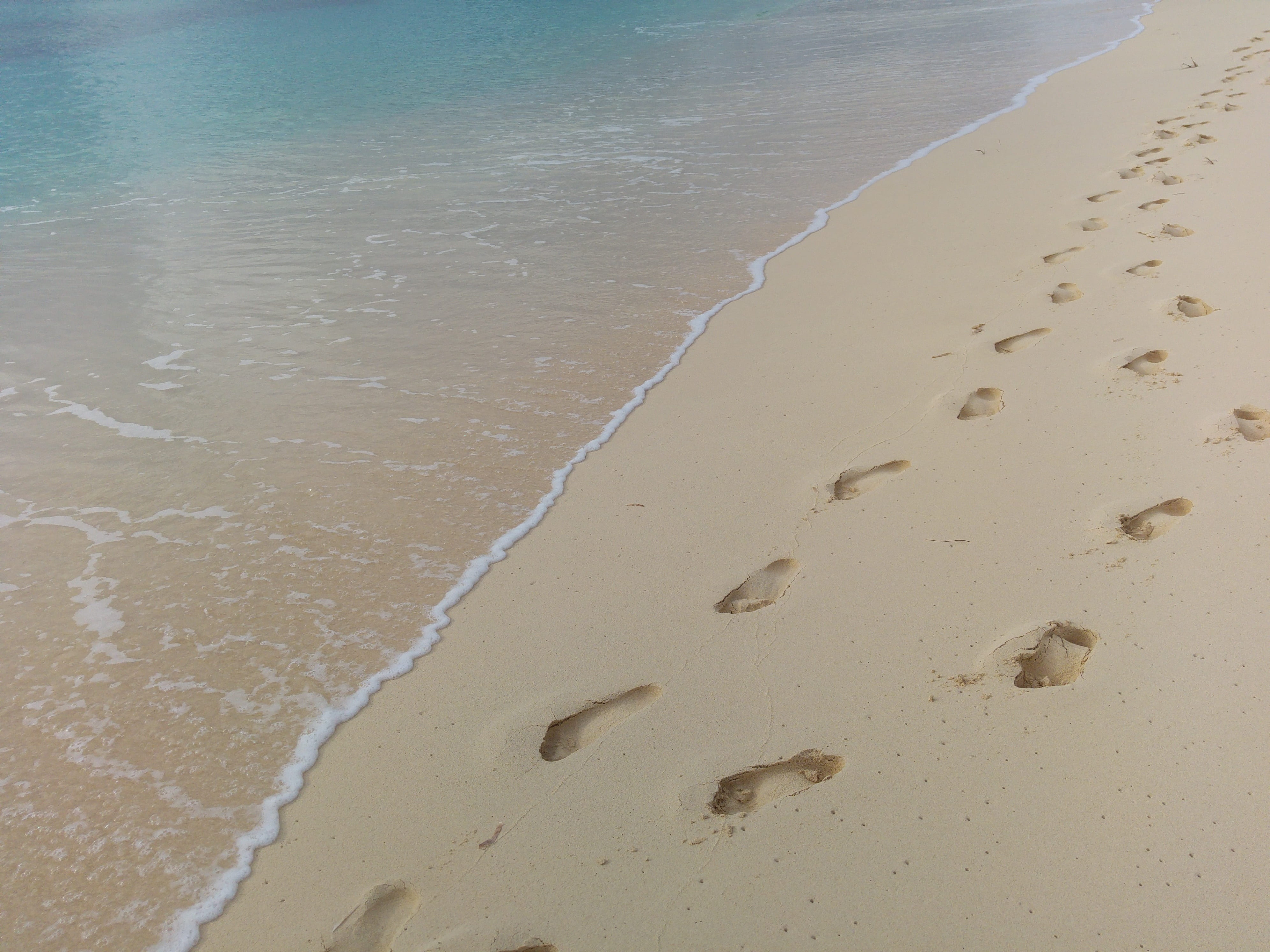 footprints, high angle view, sea, relaxation, tropical, footstep, holiday, outdoors, reaching, wet, water, barefoot, trails, nature, land, beach sand, travel, HD Wallpaper
