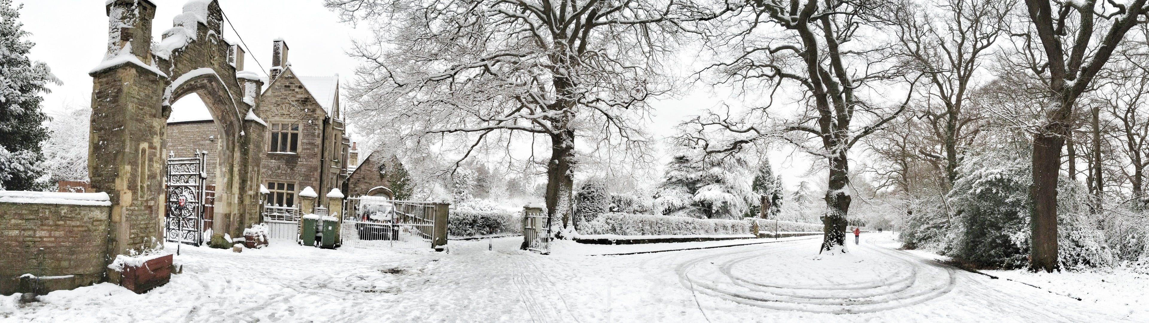 white color, cold temperature, outdoors, snowing, covering, no people, building, trees, bare tree, day, extreme weather, nature, beauty in nature, architecture, HD Wallpaper