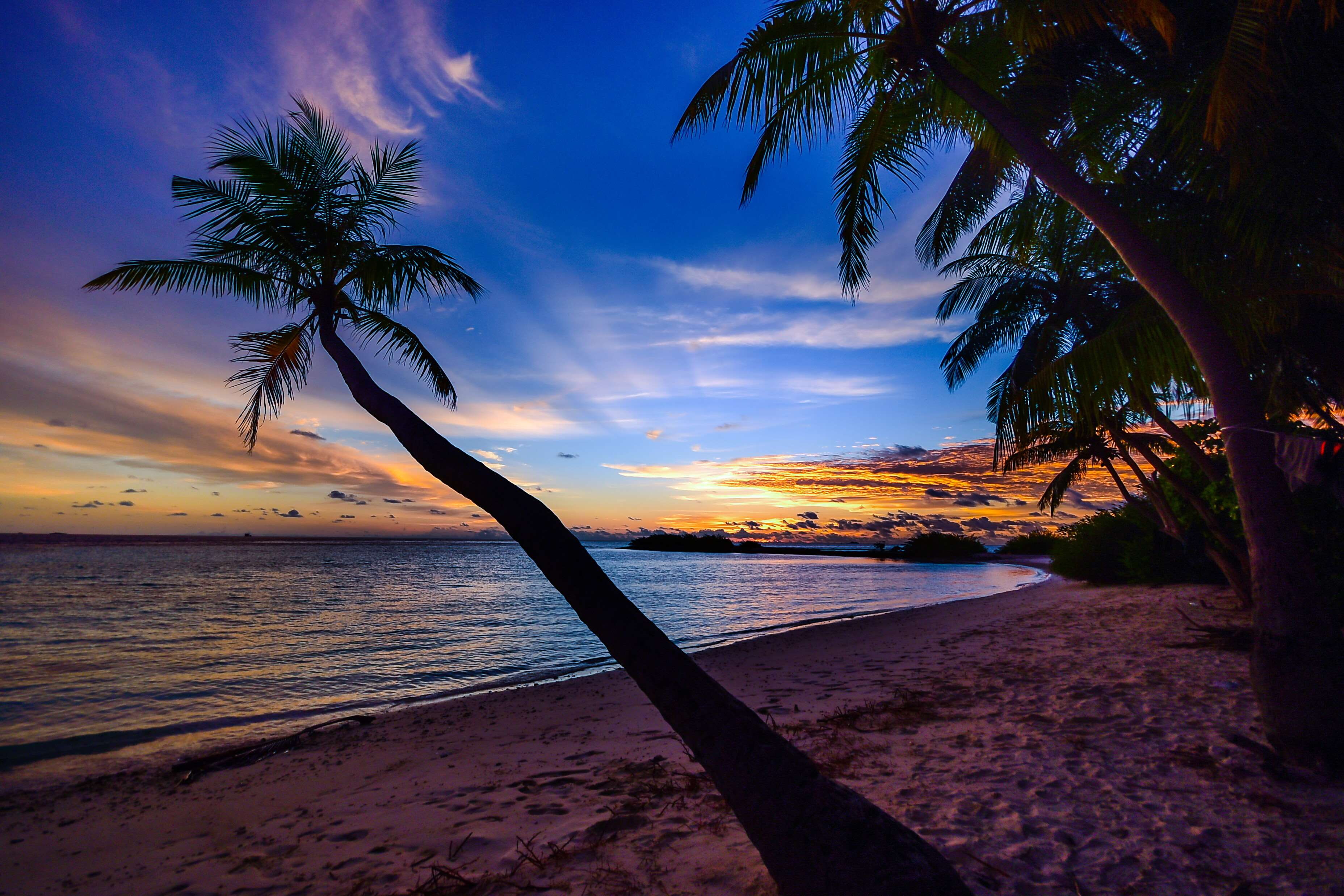 scenic view, 2K, dawn, palm leaf, scenics - nature, palm trees, coconut trees, idyllic, tree, seascape, horizon, nature, sky, peaceful, sunris, clouds, HD Wallpaper