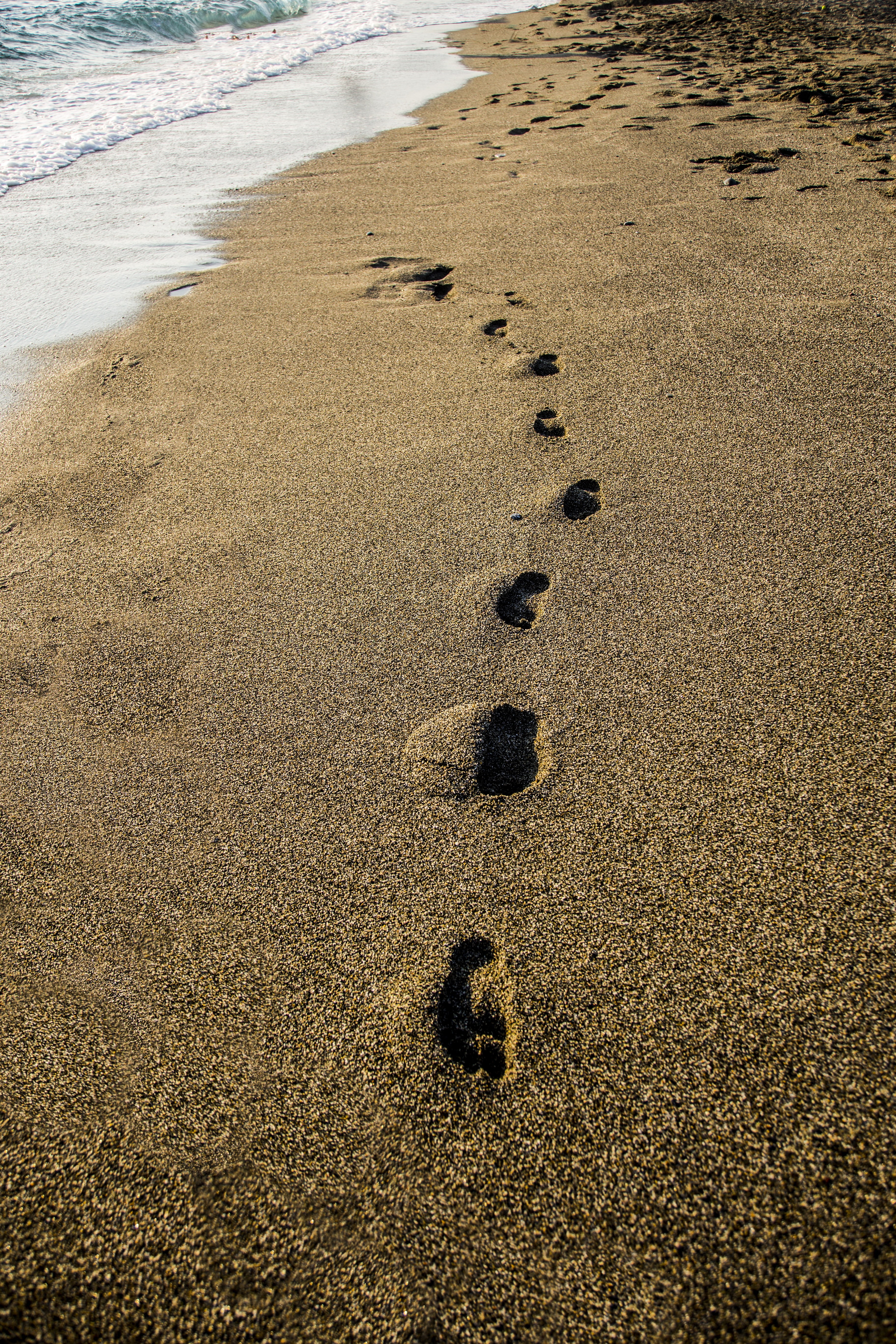 beach, footsteps, sea, mystery, paw print, tranquility, footprint, pebble, sand, print, nature, no people, outdoors, track - imprint, 5K, high angle view, Phone HD Wallpaper