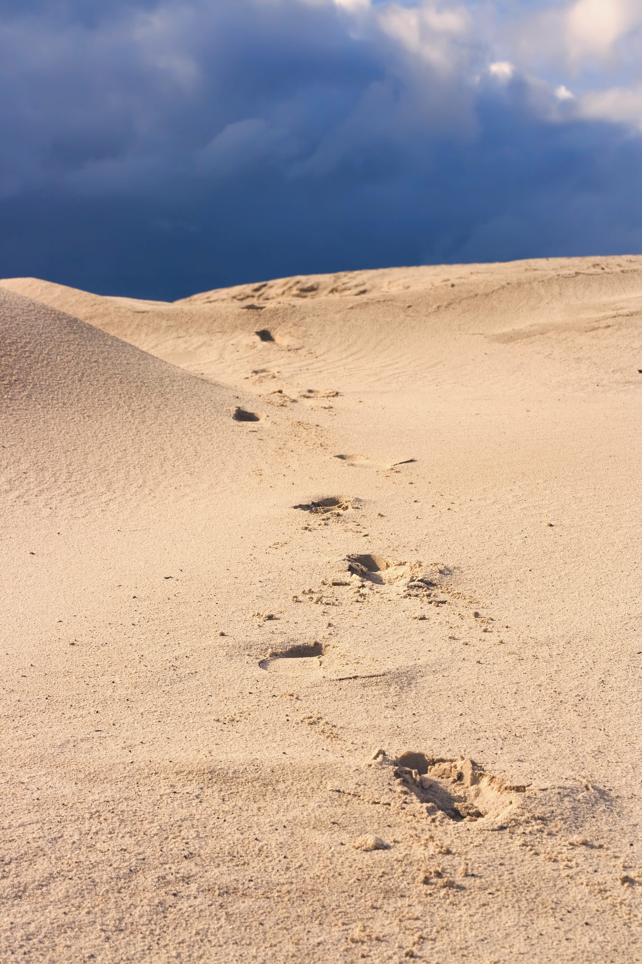 environment, climate, cloud - sky, beauty in nature, dunes, 4K, remote, non-urban scene, YANAO, scenics - nature, arid climate, landscape, beach, sunlight, Phone HD Wallpaper