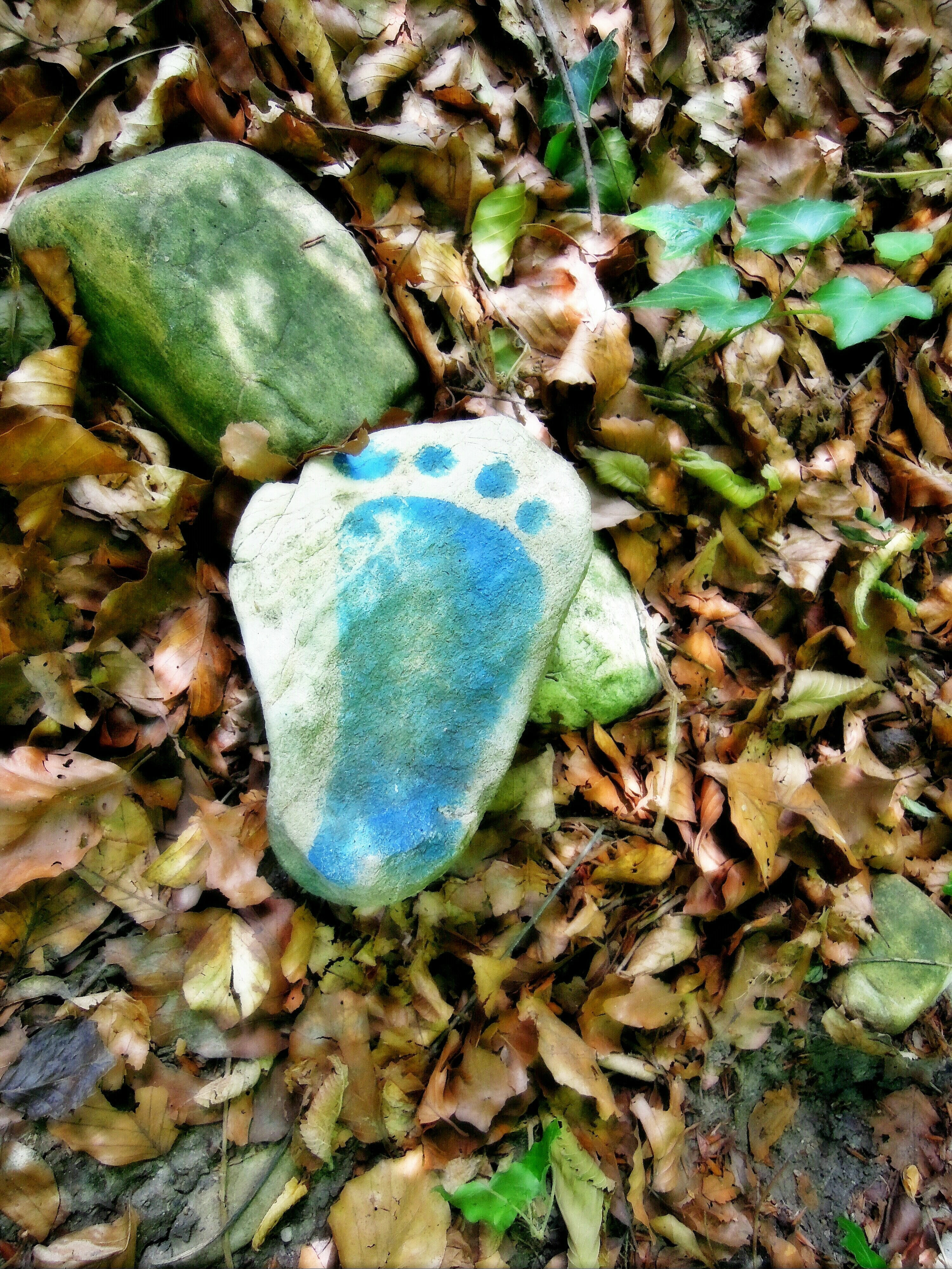 symbol, food, plant, beauty in nature, food and drink, outdoors, solid, leaf, land, footsteps, stone, growth, 4K, characters, day, blue, footprints, nature, Phone HD Wallpaper