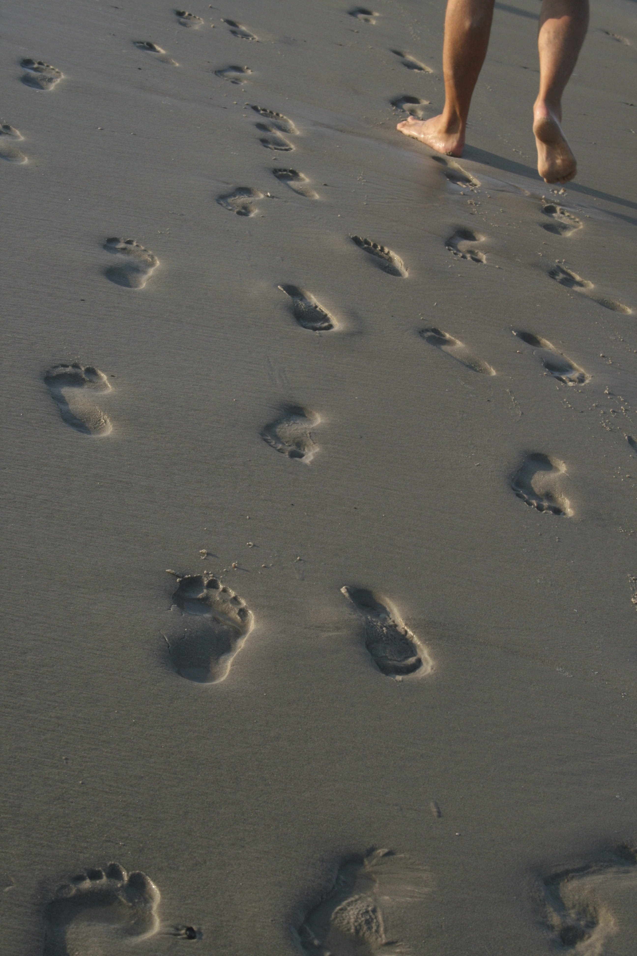 land, Holiday, lifestyles, walking, person, nature, human body part, outdoors, leisure activity, footprints, water, human leg, sea, footsteps, standing, Phone HD Wallpaper