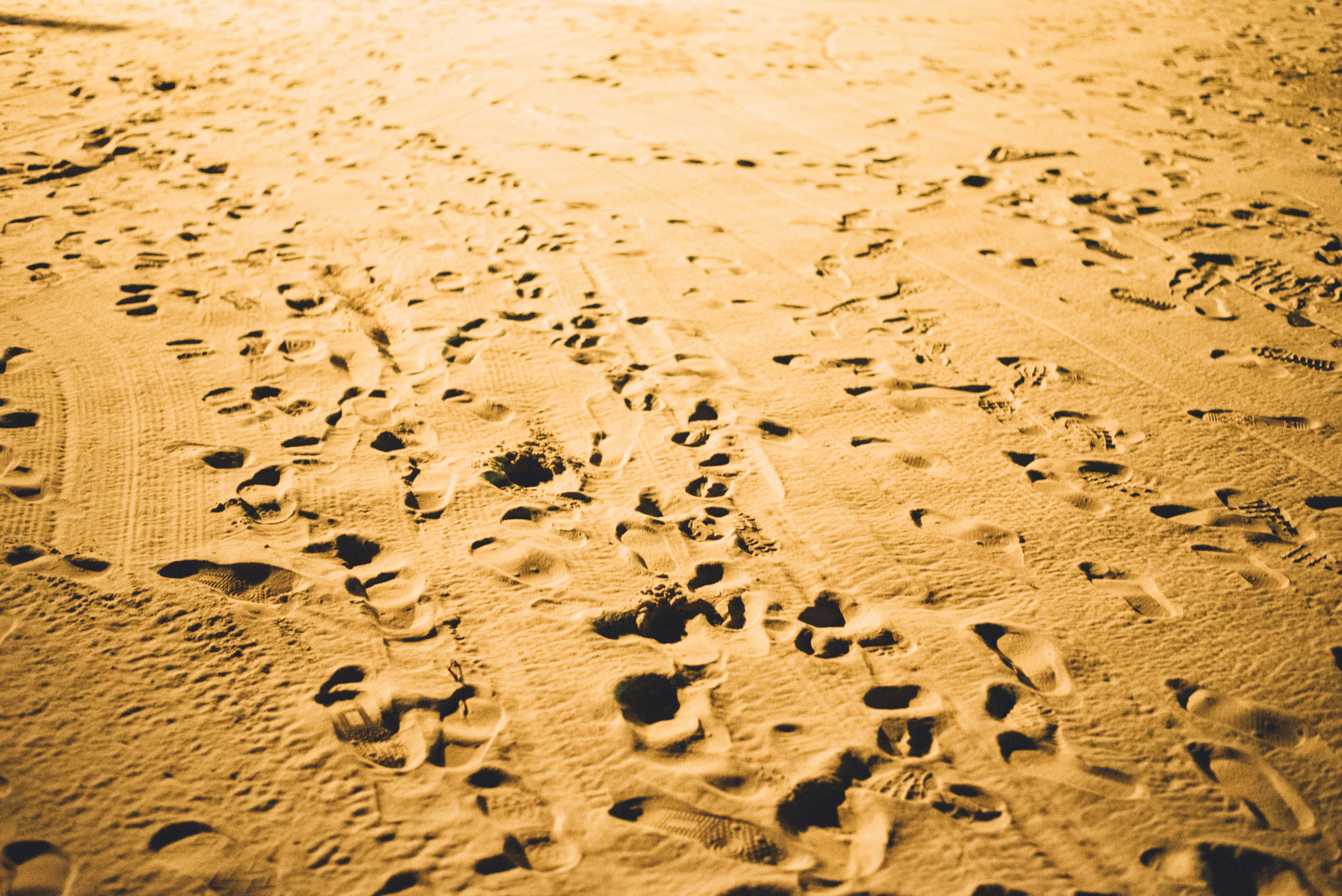 sand, footprint, land, print, sunlight, desert, arid climate, climate, footprints, track - imprint, brown, 5K, no people, tranquility, ocean, shore, sea, HD Wallpaper