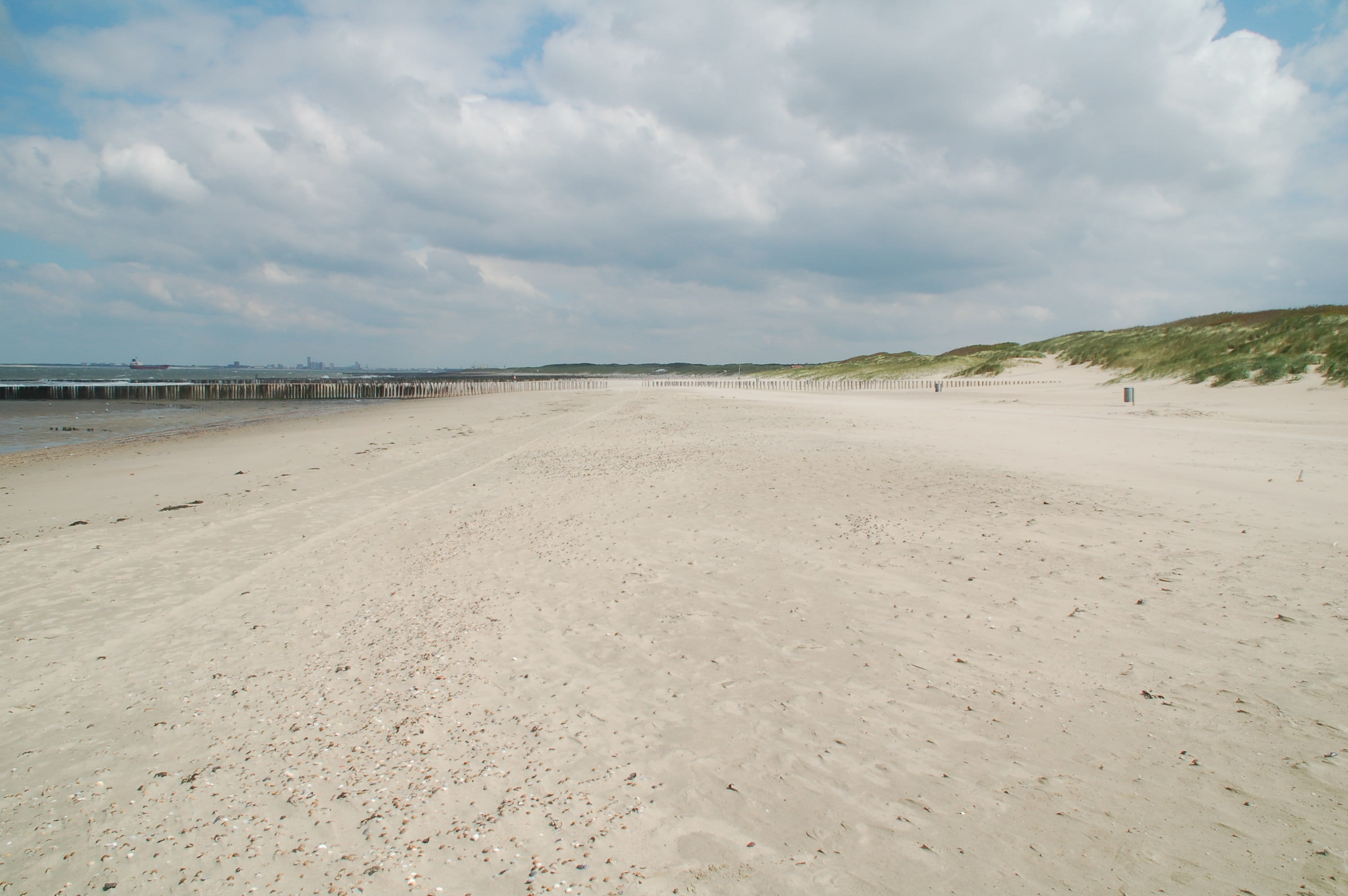 vrij, tranquility, dunes, space, water, non-urban scene, idyllic, dom, footsteps, 2K, horizon, cloud - sky, day, light, sky, tranquil scene, nature, coast, HD Wallpaper