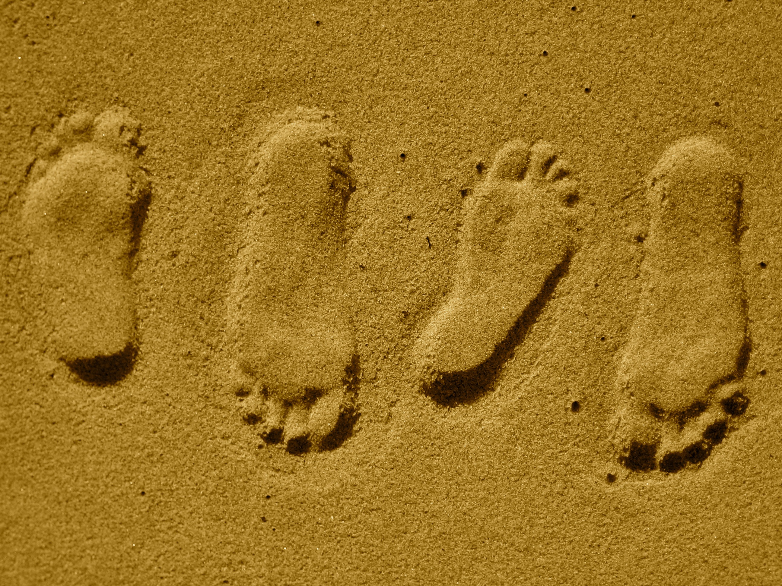 track - imprint, summer, foot, art, sunlight, beach, full frame, barefoot, steps, footprints, no people, backgrounds, 2K, footstep, sand, mystery, brown, HD Wallpaper