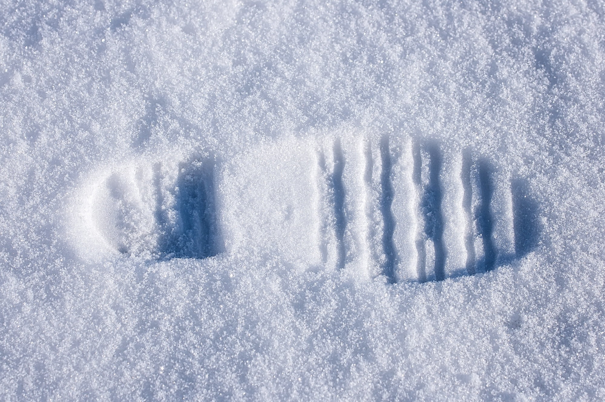 field, nature, full frame, season, outdoors, cold - Temperature, high angle view, snow, no people, footstep, environment, white, beauty in nature, close, HD Wallpaper