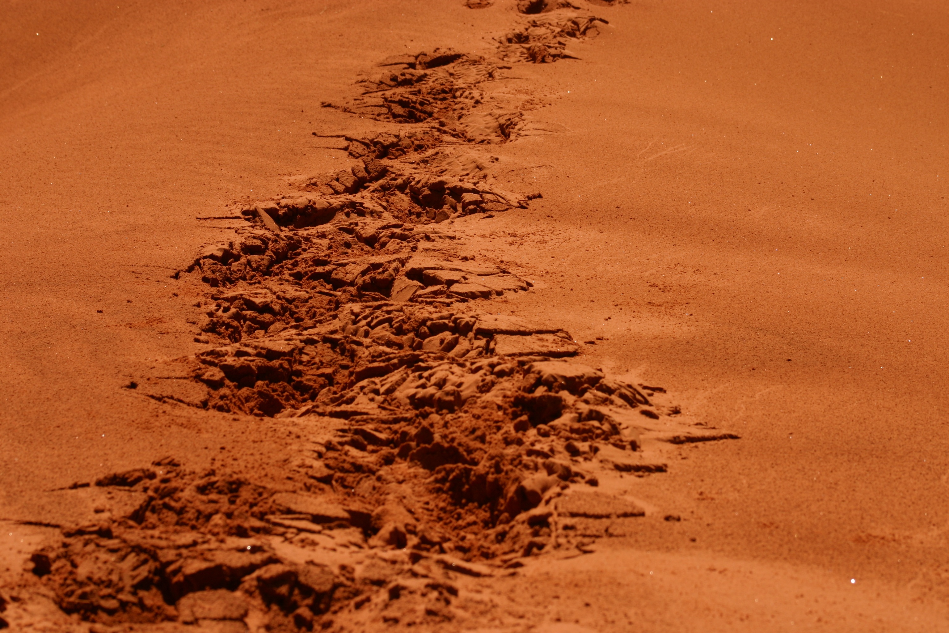dirt, mud, day, daytime, no people, water, footsteps, beach, plant, remote, land, climate, 2K, sand dune, tranquility, outdoors, sand, brown, nature, arid climate, HD Wallpaper