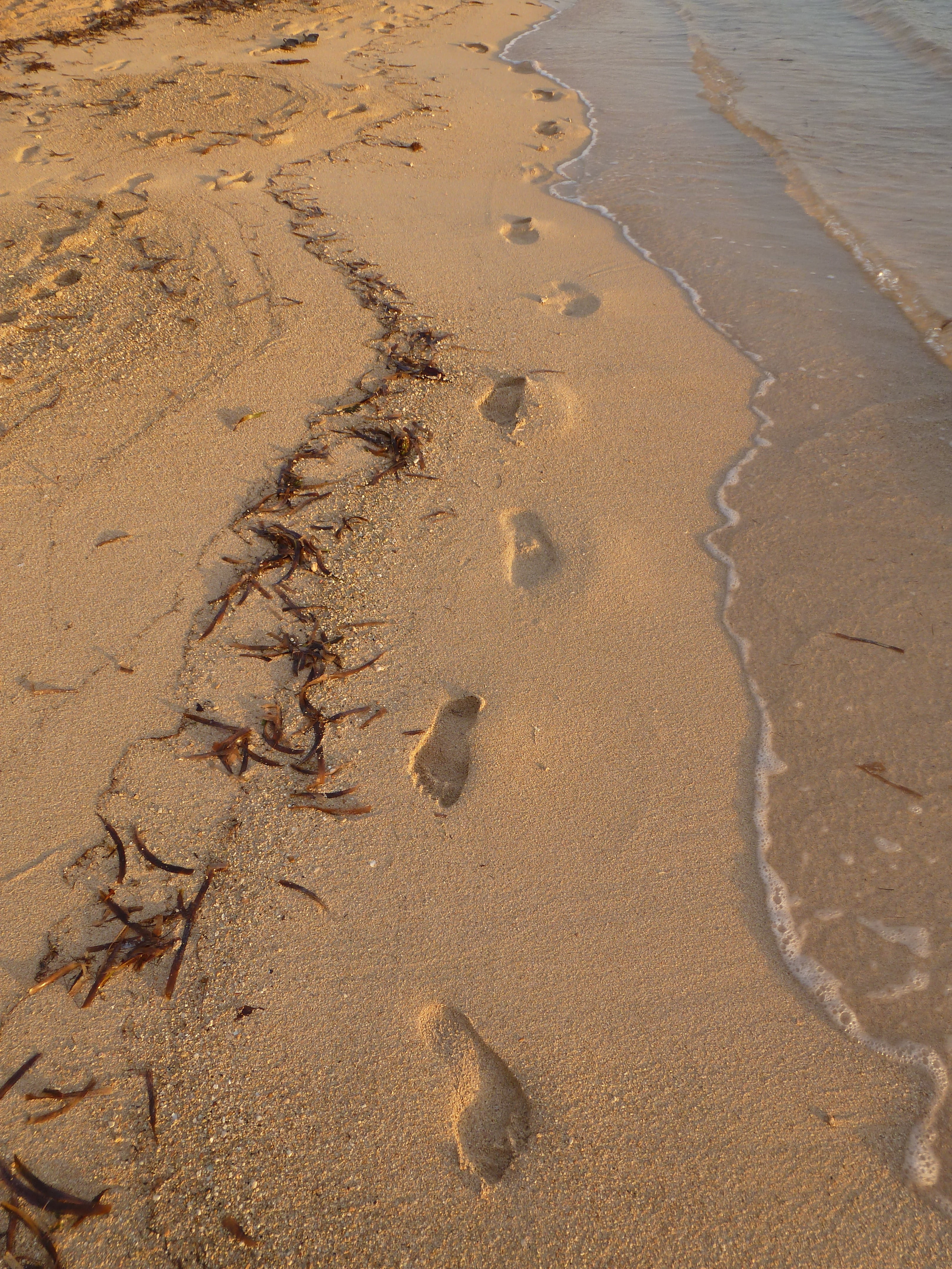 high angle view, footstep, land, no people, barefoot, outdoors, 4K, sea, nature, footprint, animal track, shore, beach, absence, water, walking, full frame, Phone HD Wallpaper