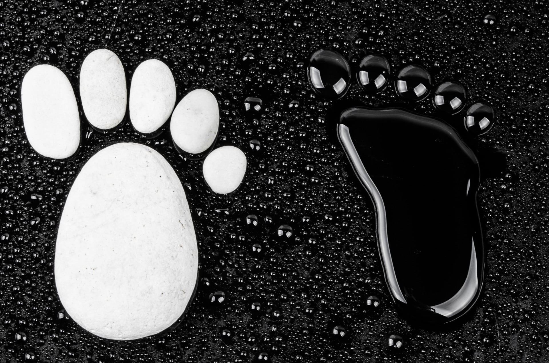 variation, explore, freshness, activity, mark, shoe, step, drop, creativity, footprints, way, personal accessory, print, seaside, simplicity, bare, 1080P, HD Wallpaper
